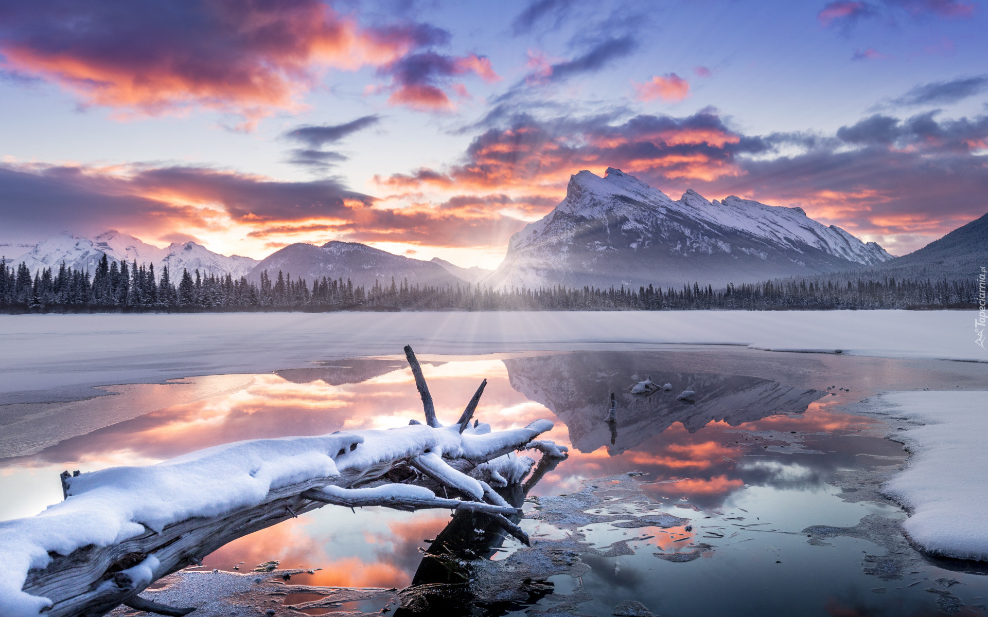 Zima, Jezioro, Kłody, Śnieg, Góry, Las, Drzewa, Park Narodowy Banff, Alberta, Kanada