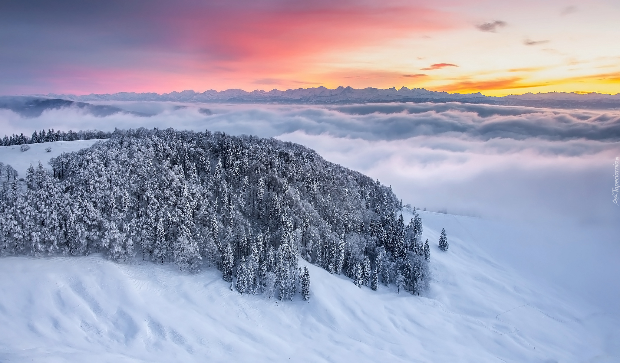 Zima, Drzewa, Góry, Jura Mountains, Zachód słońca