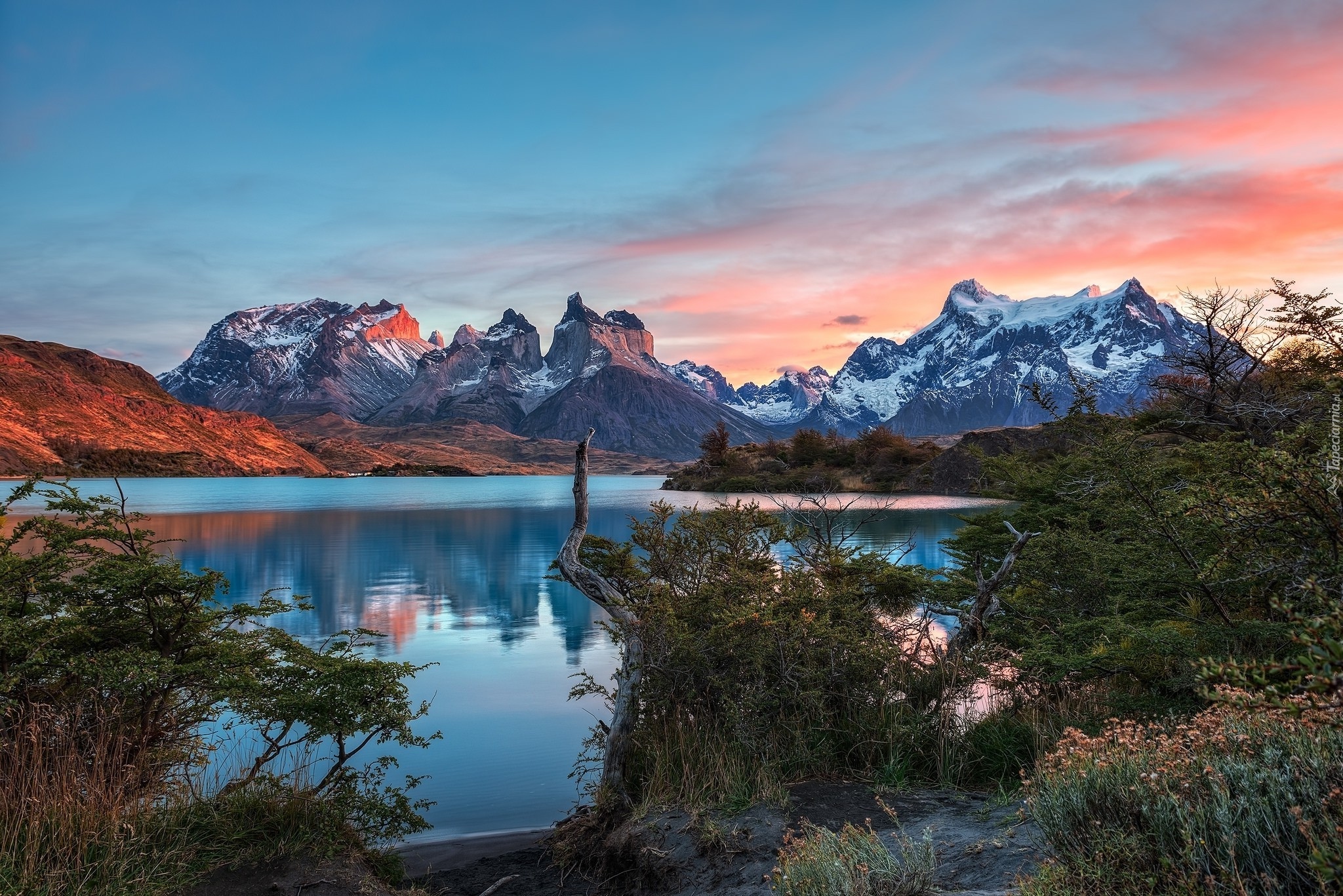 Chile, Patagonia, Góry Torres del Paine, Ośnieżone, Szczyty, Jezioro, Zachód słońca, Krzewy, Park Narodowy Torres del Paine