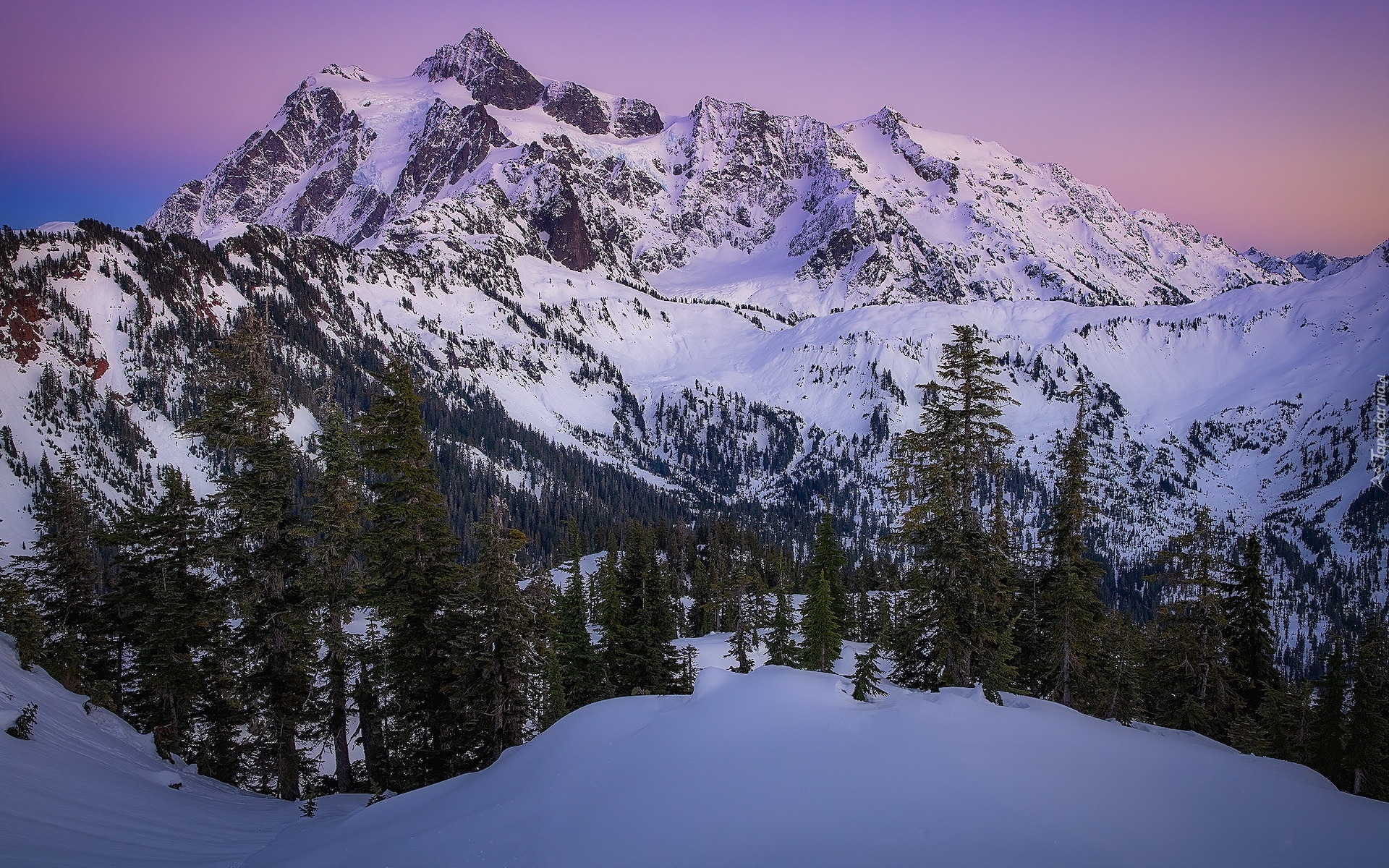 Góry Kaskadowe, Mount Shuksan, Zima, Śnieg, Drzewa, Park Narodowy Północnych Gór Kaskadowych, Stan Waszyngton, Stany Zjednoczone