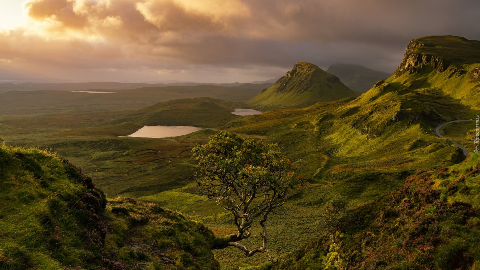 Góry, Jeziora, Drzewo, Chmury, Wyspa Skye, Quiraing, Szkocja