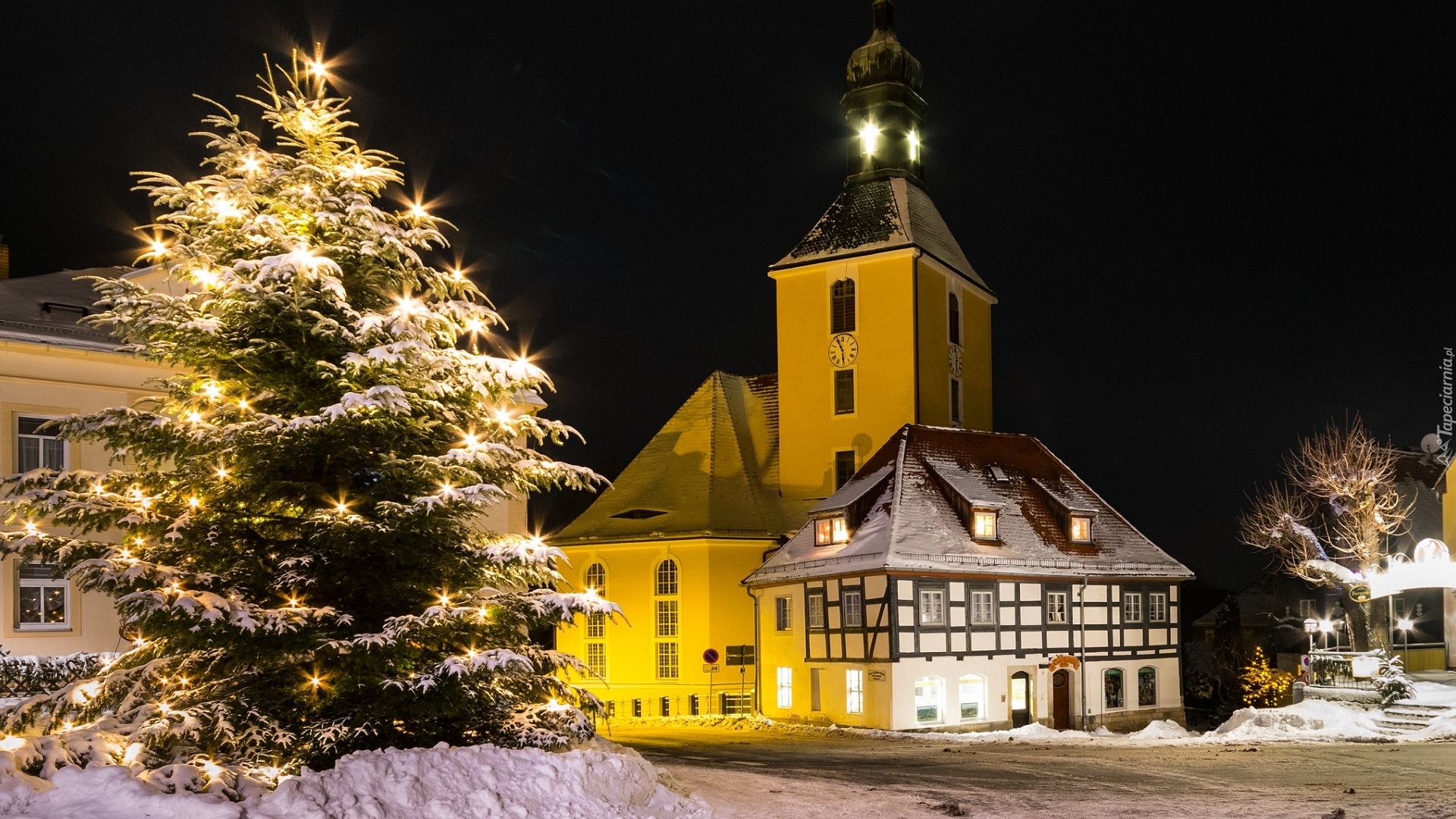 Boże Narodzenie, Ośnieżona, Choinka, Kościół, Hohnstein, Niemcy