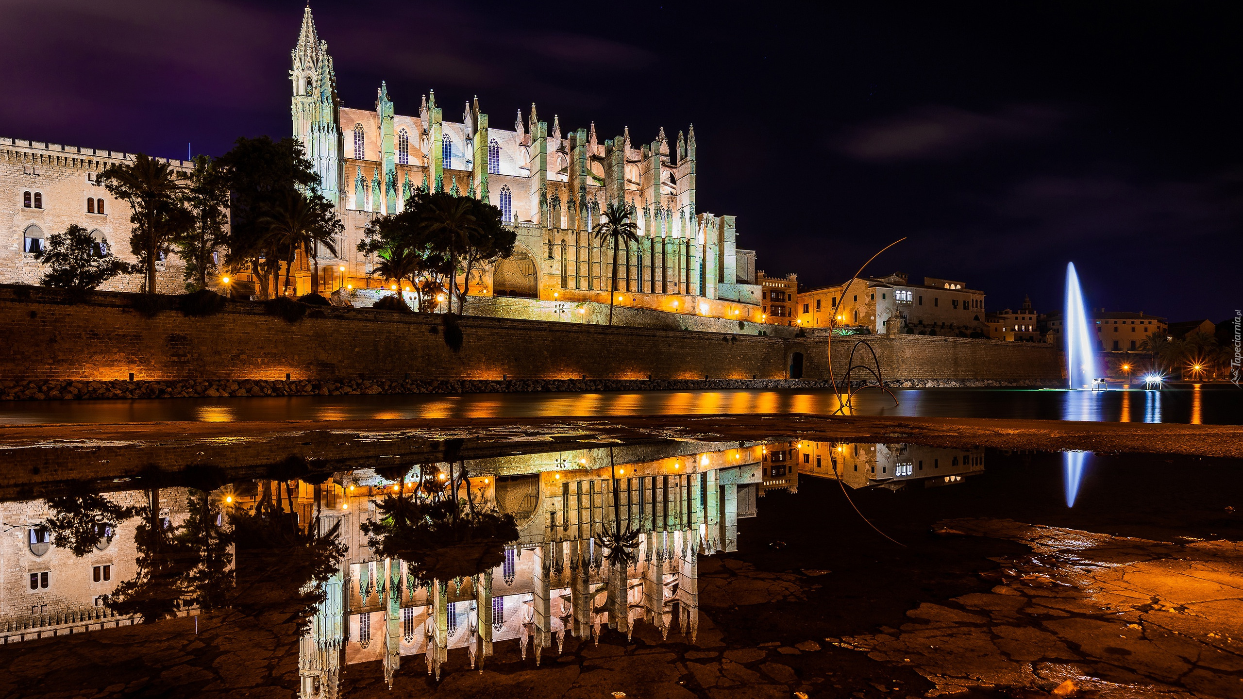 Oświetlona, Katedra La Seu, Kościół, Noc, Odbicie, Palma de Mallorca, Majorka, Hiszpania