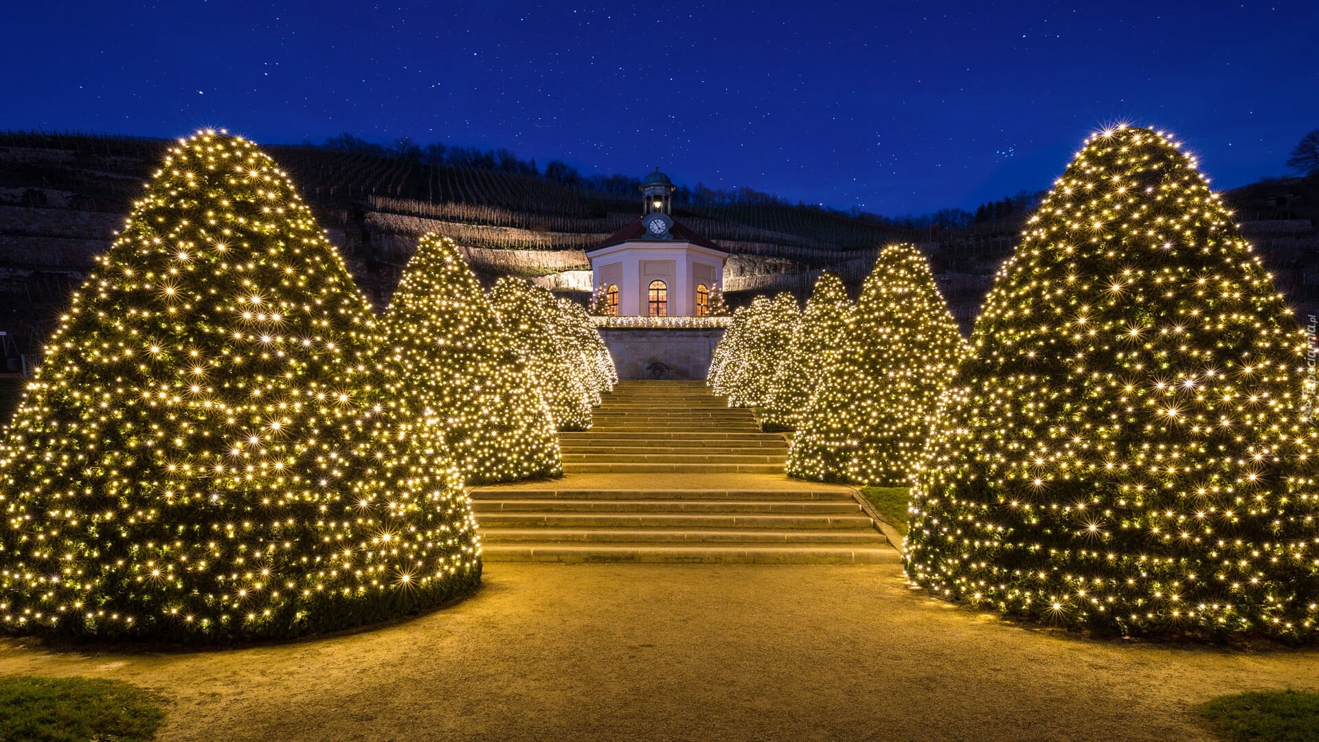 Zima, Drzewa, Choinki, Światełka, Schody, Lampy, Dom, Winiarnia Schloss Wackerbarth, Naundorf, Niemcy