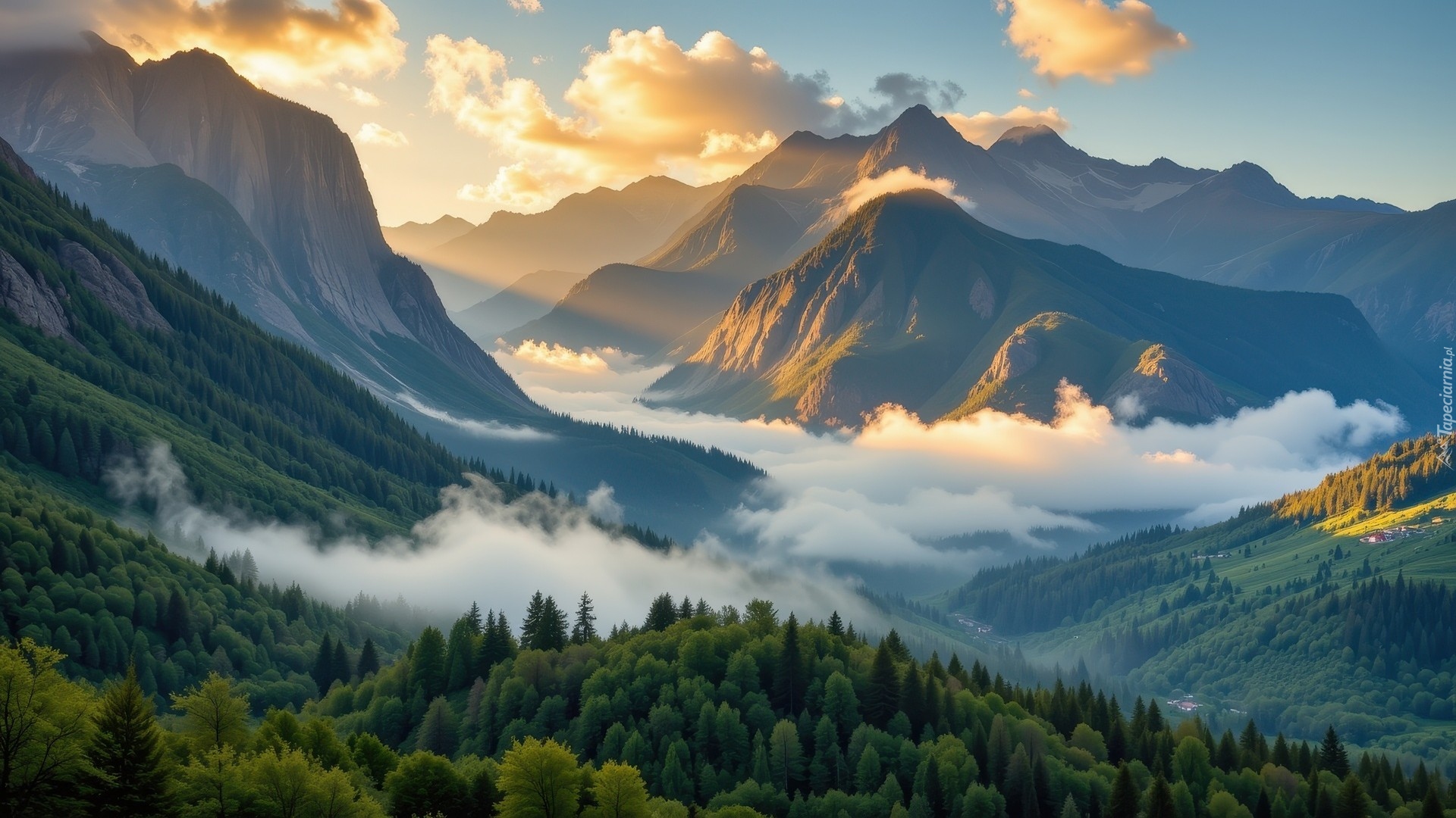 Góry, Opadająca, Mgła, Las