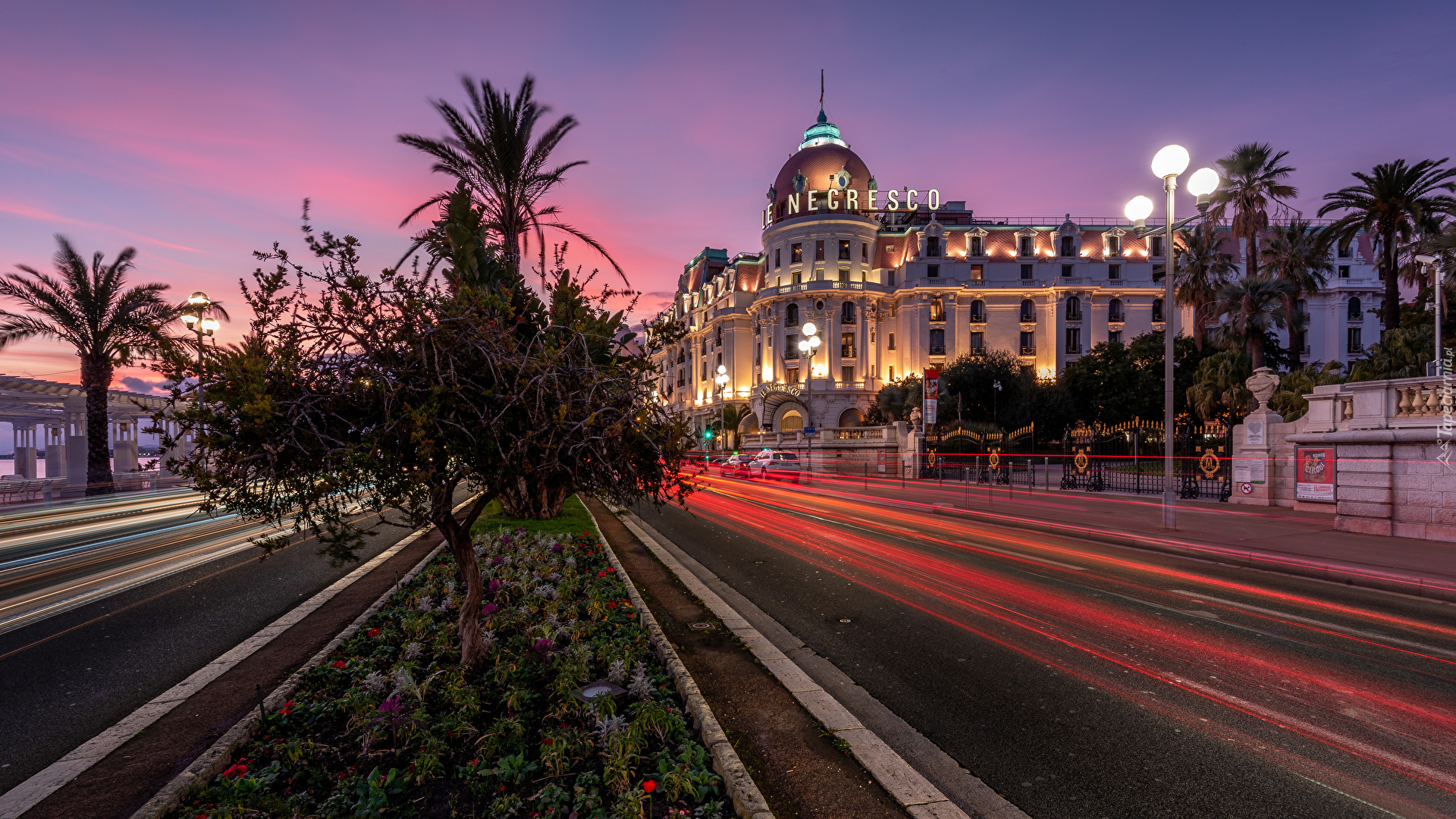 Francja, Nicea, Noc, Ulica, Drzewa, Domy, Hotel Negresco