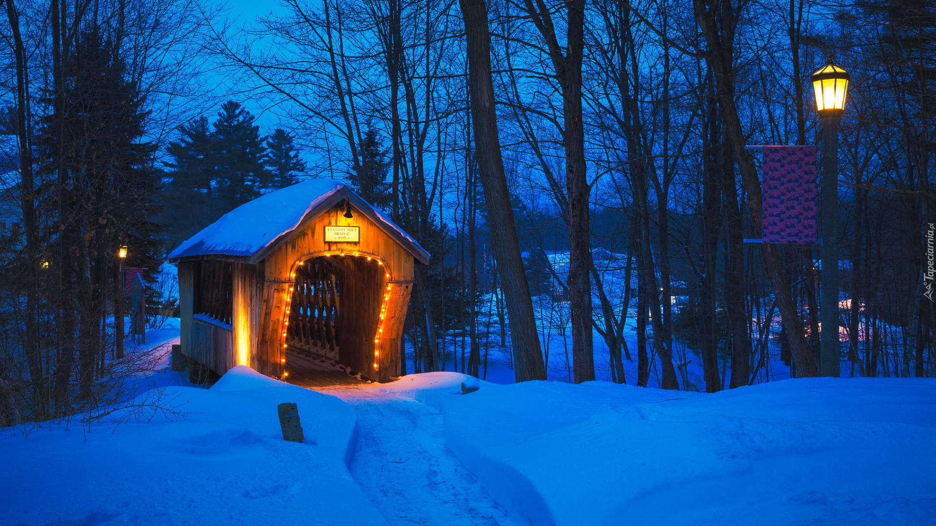 Most, Tannery Hill Covered Bridge, Oświetlone, Przejście, Zima, Latarnie, Drzewa, Gilford, Stan New Hampshire, Stany Zjednoczone