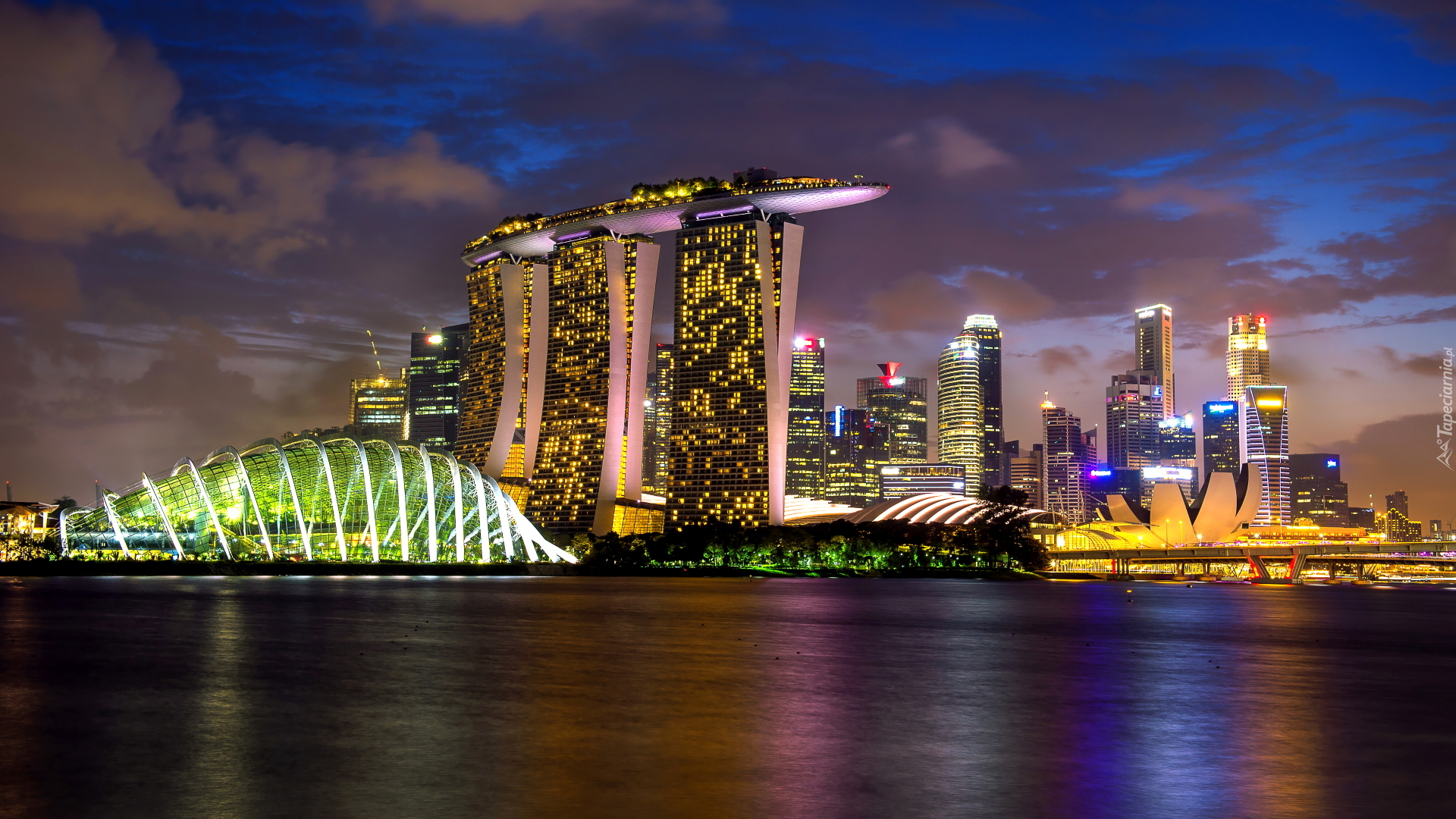 Noc, Gardens by the Bay, Oświetlony, Hotel, Marina Bay Sands, Singapur