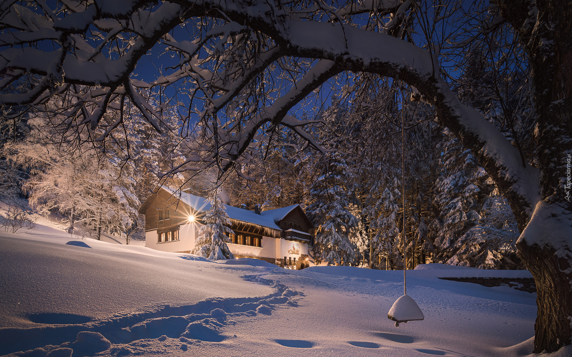 Zima, Śnieg, Drzewa, Oświetlony, Dom