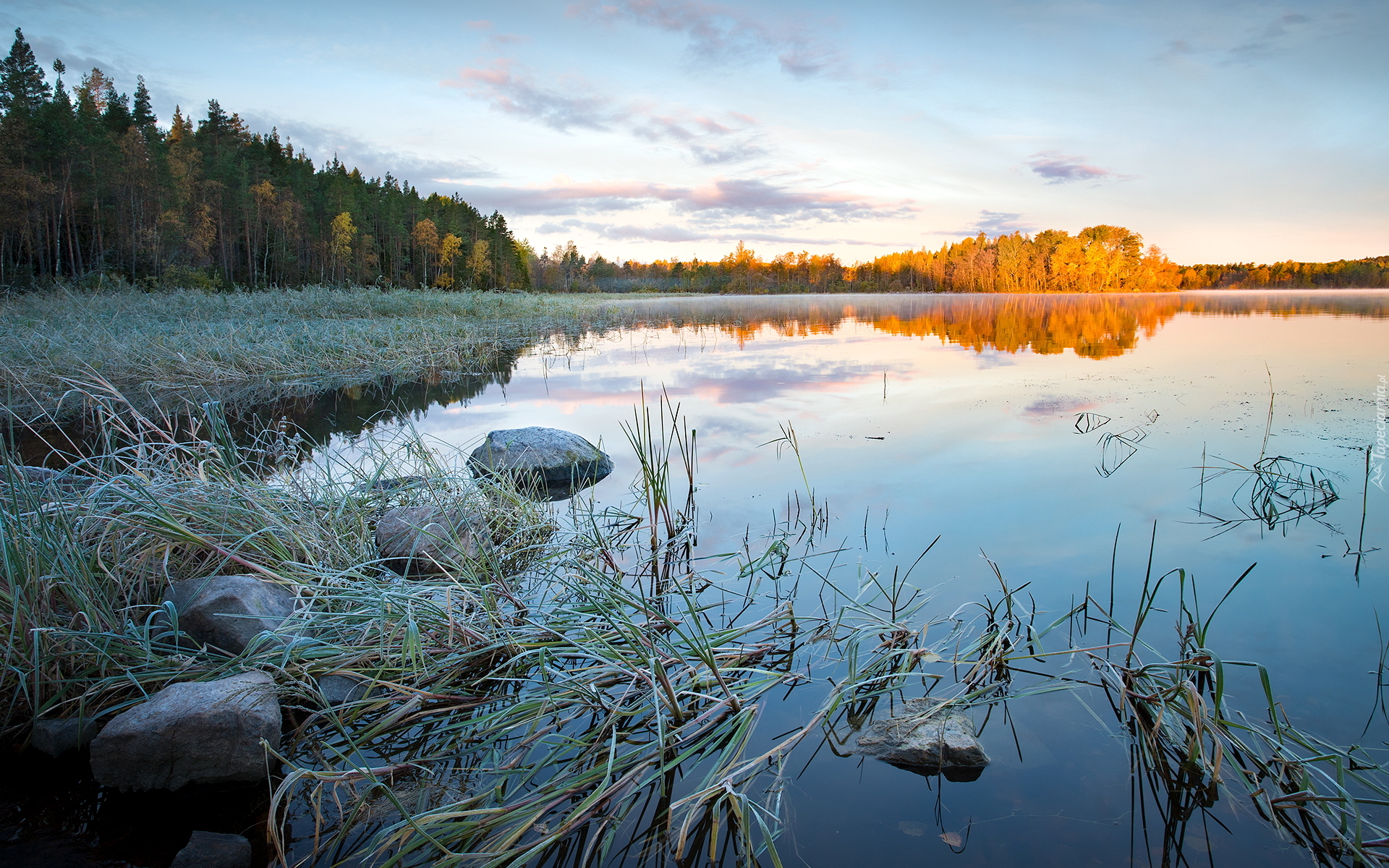 Jezioro Ładoga, Drzewa, Trawa, Kamienie, Brzeg, Karelia, Rosja