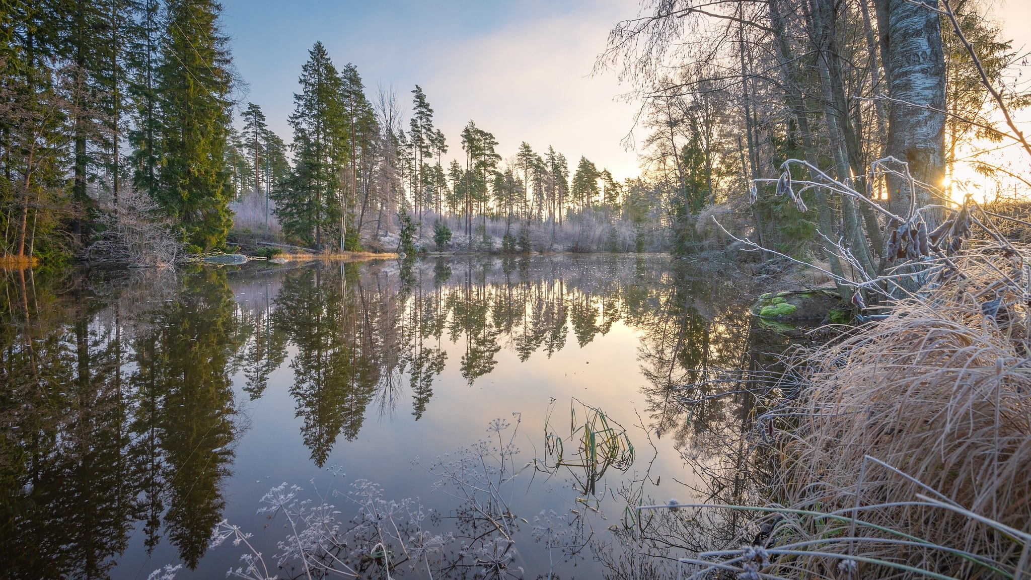 Rzeka Virojoki, Oszronione, Drzewa, Trawy, Region Kymenlaakso, Finlandia