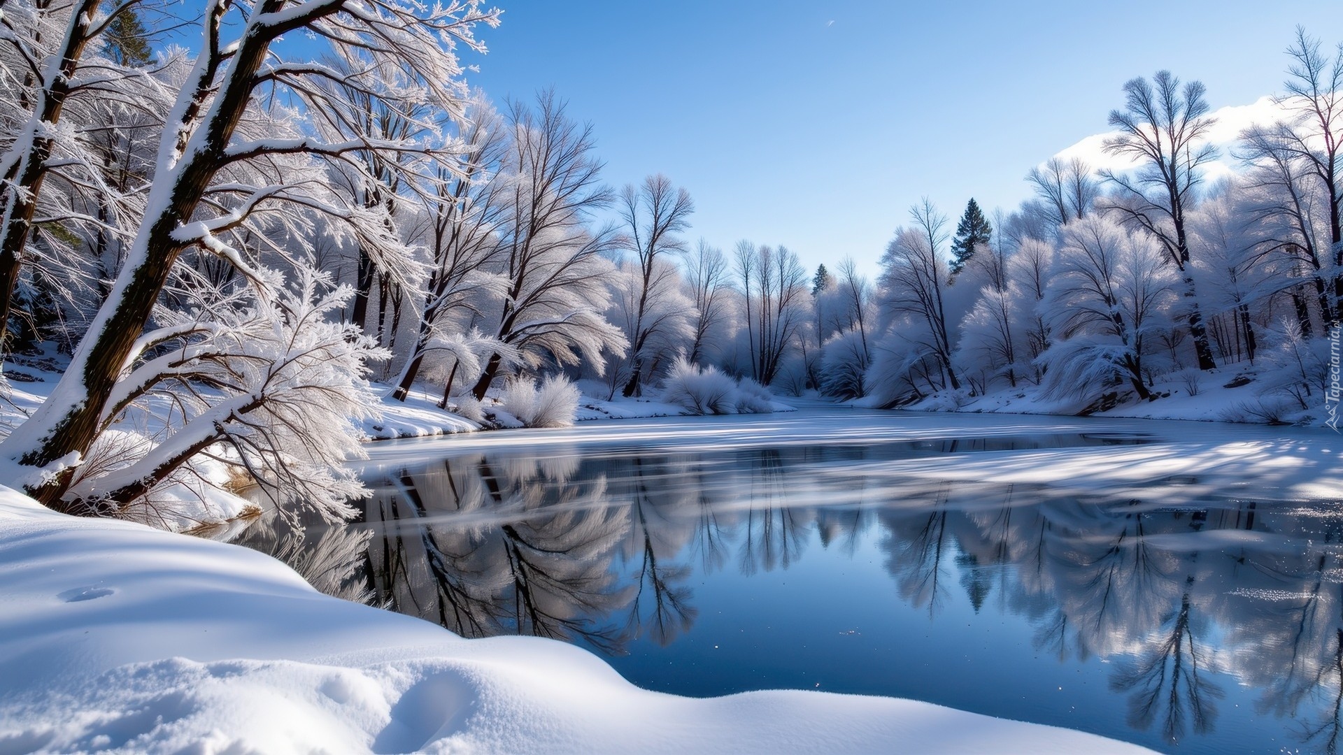 Zima, Śnieg, Oszronione, Drzewa, Jezioro