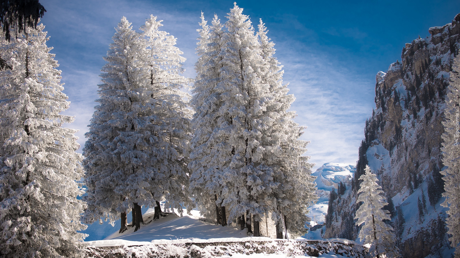 Zima, Śnieg, Skały, Drzewa