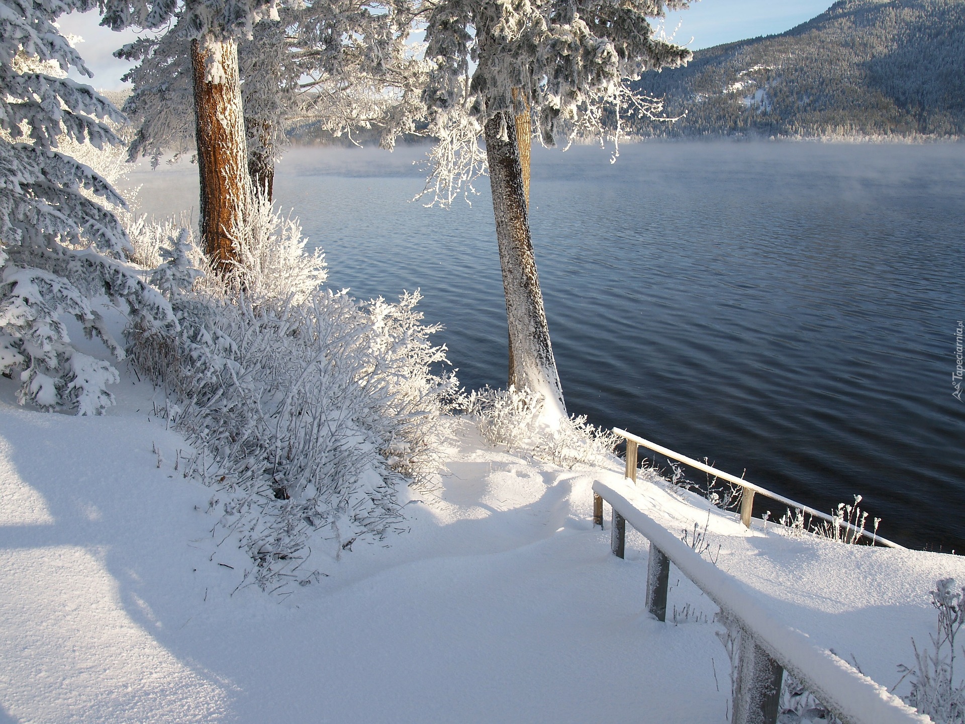 Zima, Śnieg, Drzewa, Szron, Pogodny dzień, Jezioro, Canim Lake, Kolumbia Brytyjska, Kanada