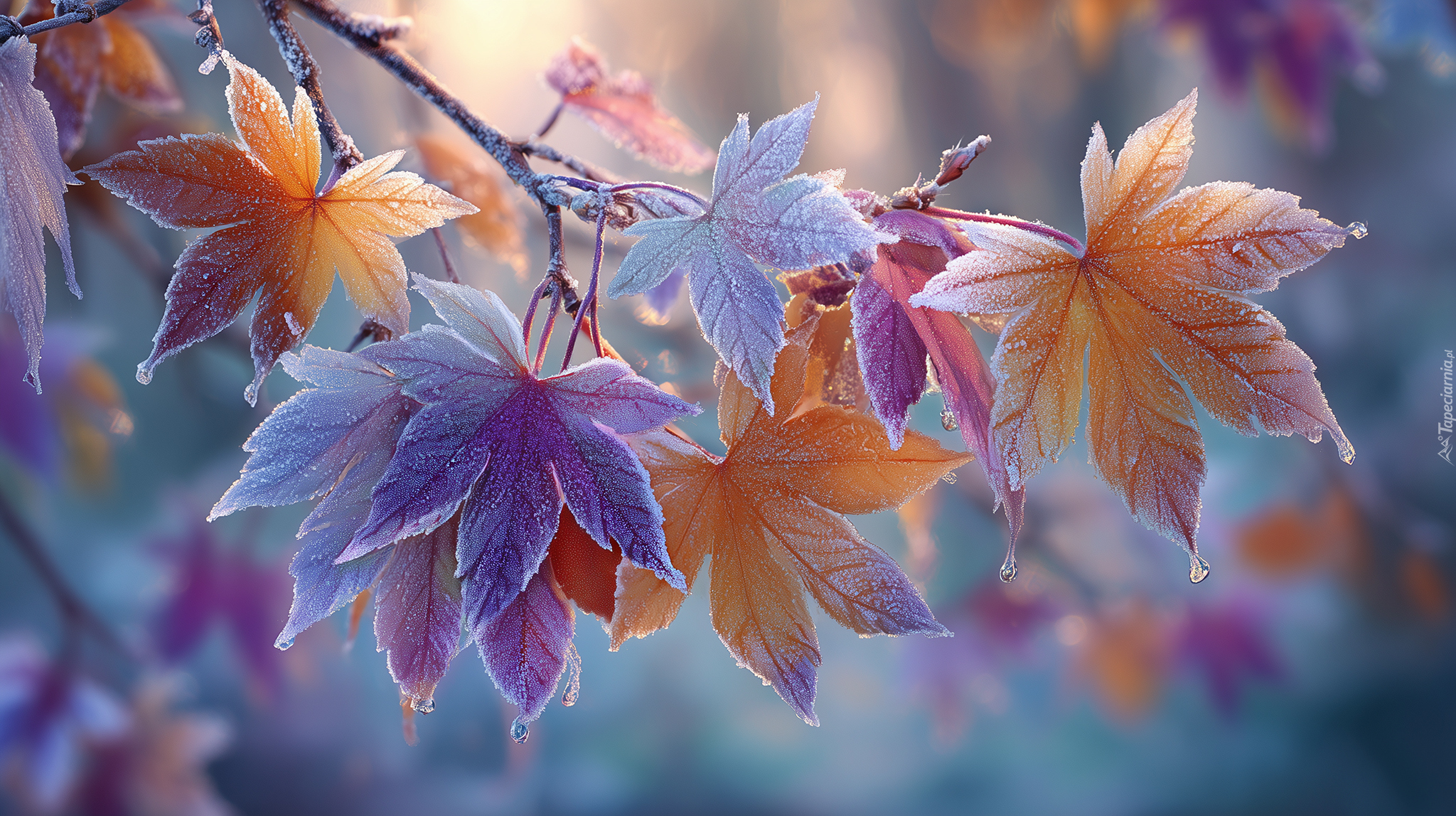 Liście, Klon, Szron, Grafika AI