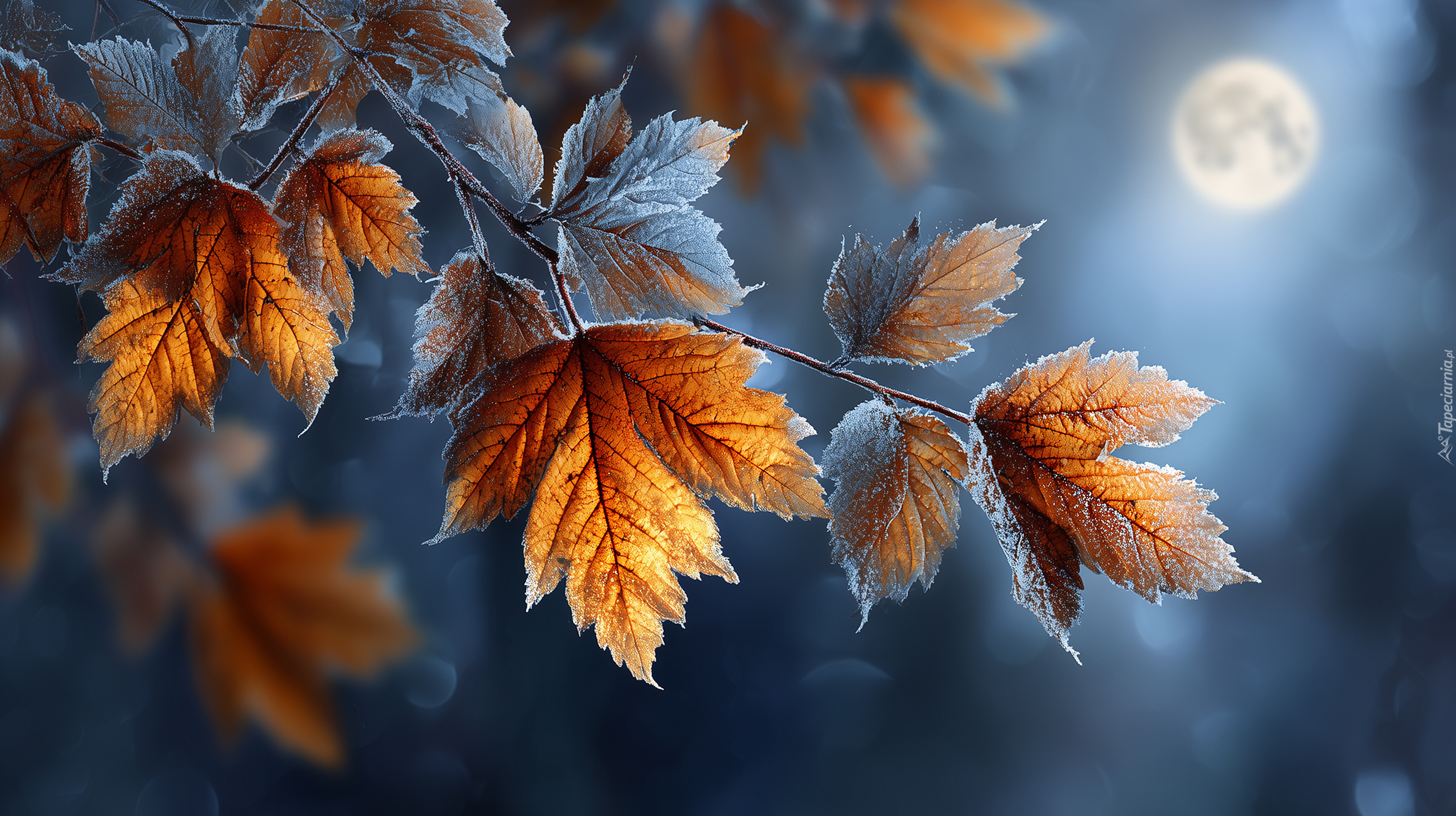 Oszronione, Liście, Księżyc, Grafika AI