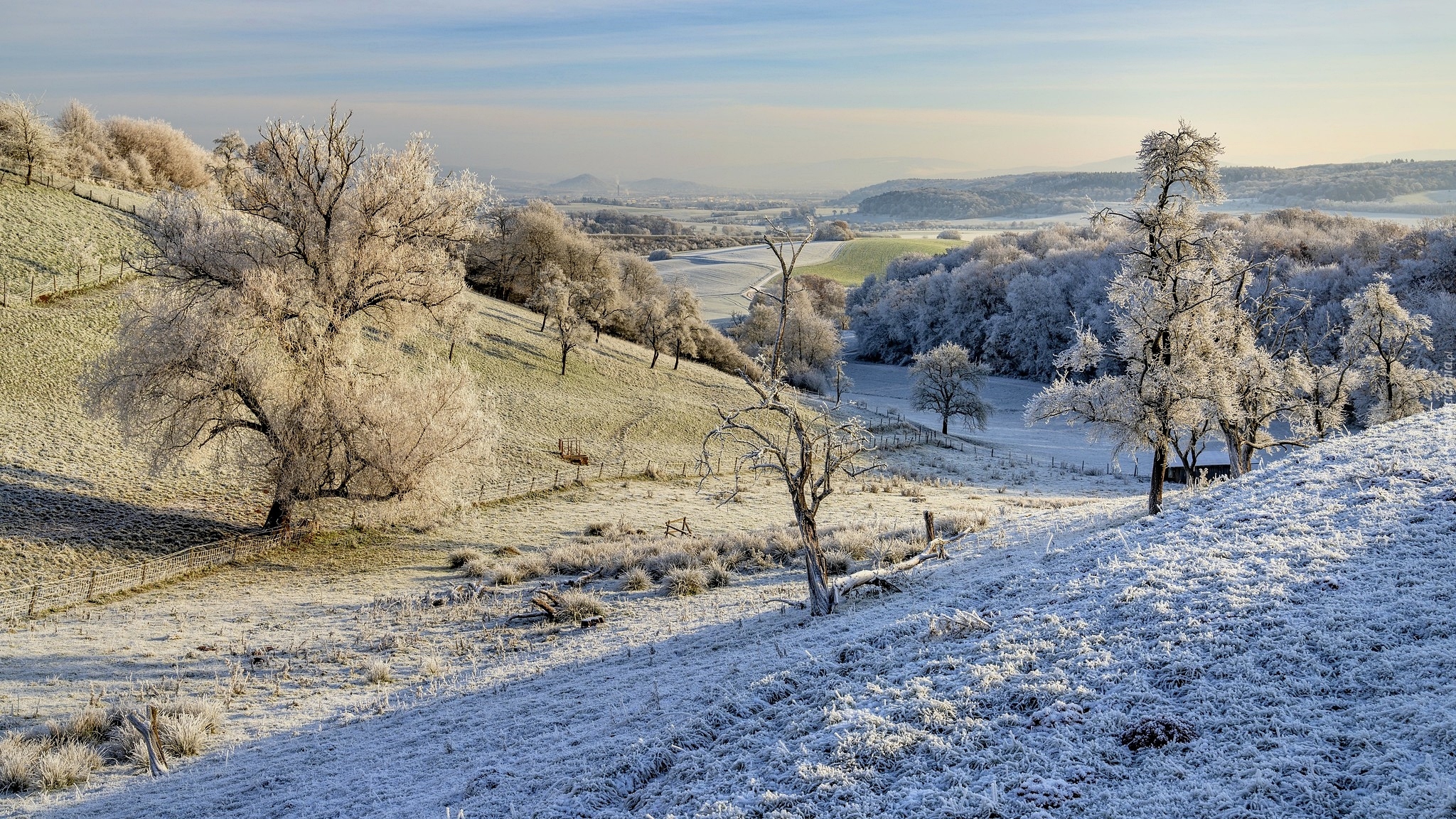 Wzgórza, Oszronione, Drzewa, Zima