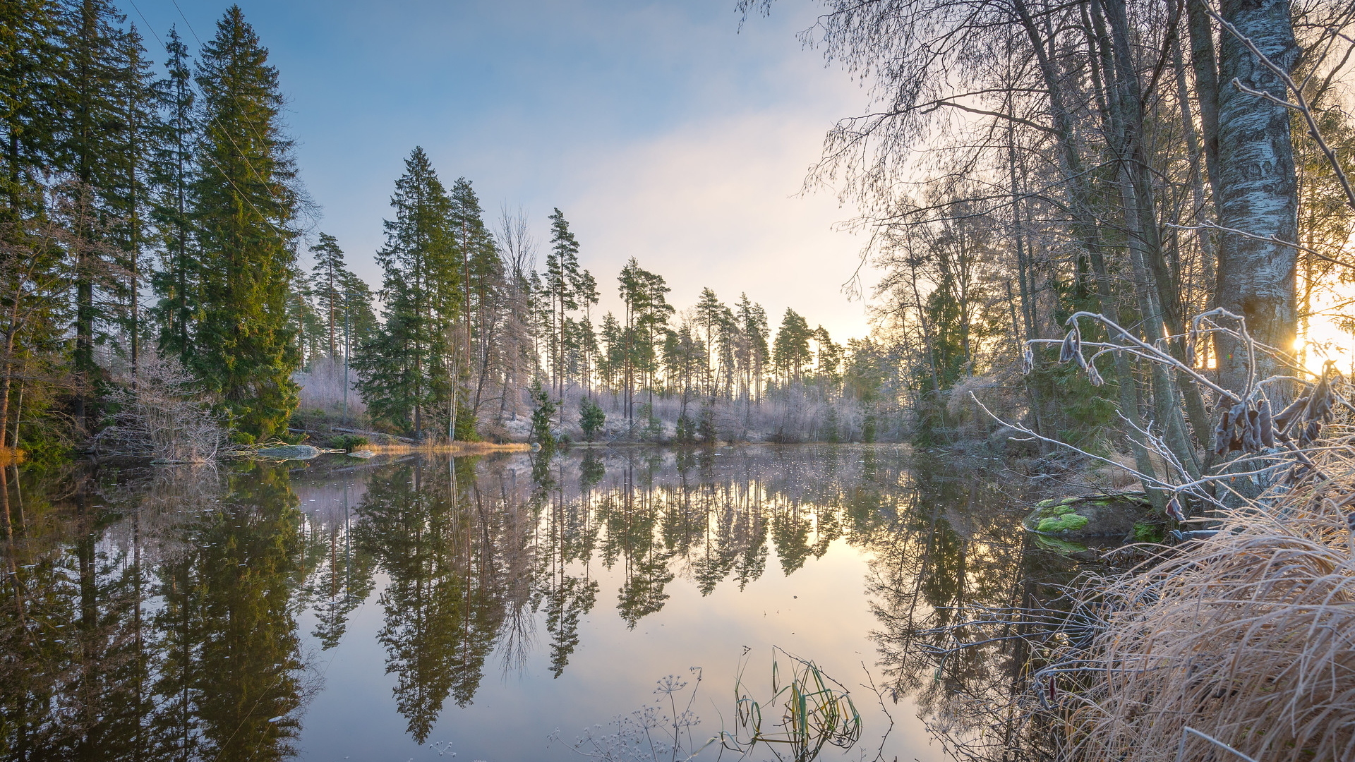 Rzeka, Virojoki River, Drzewa, Oszroniona, Trawa, Region Kymenlaakso, Finlandia