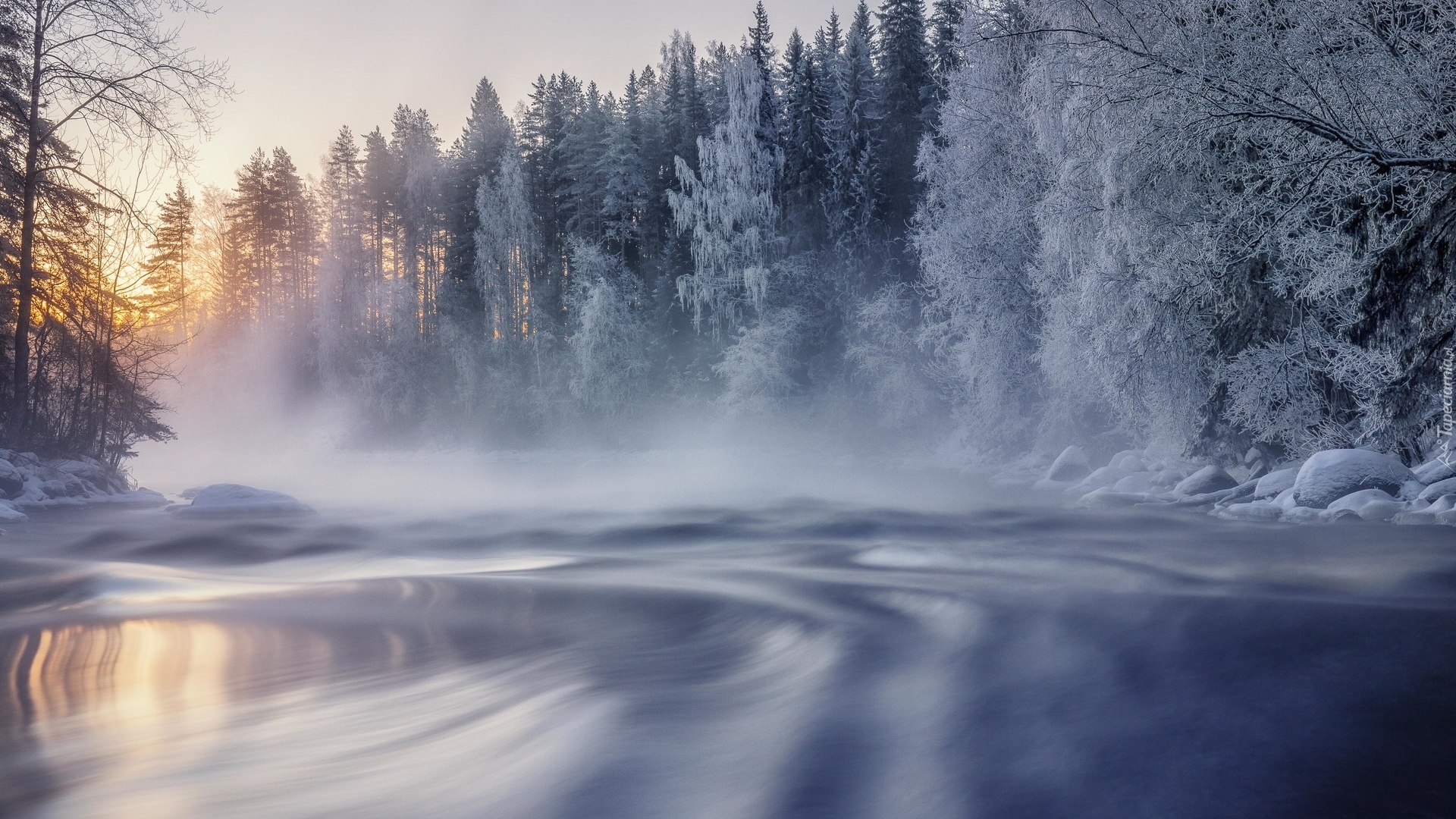 Rzeka, Ośnieżone, Drzewa, Las, Mgła, Zima, Finlandia