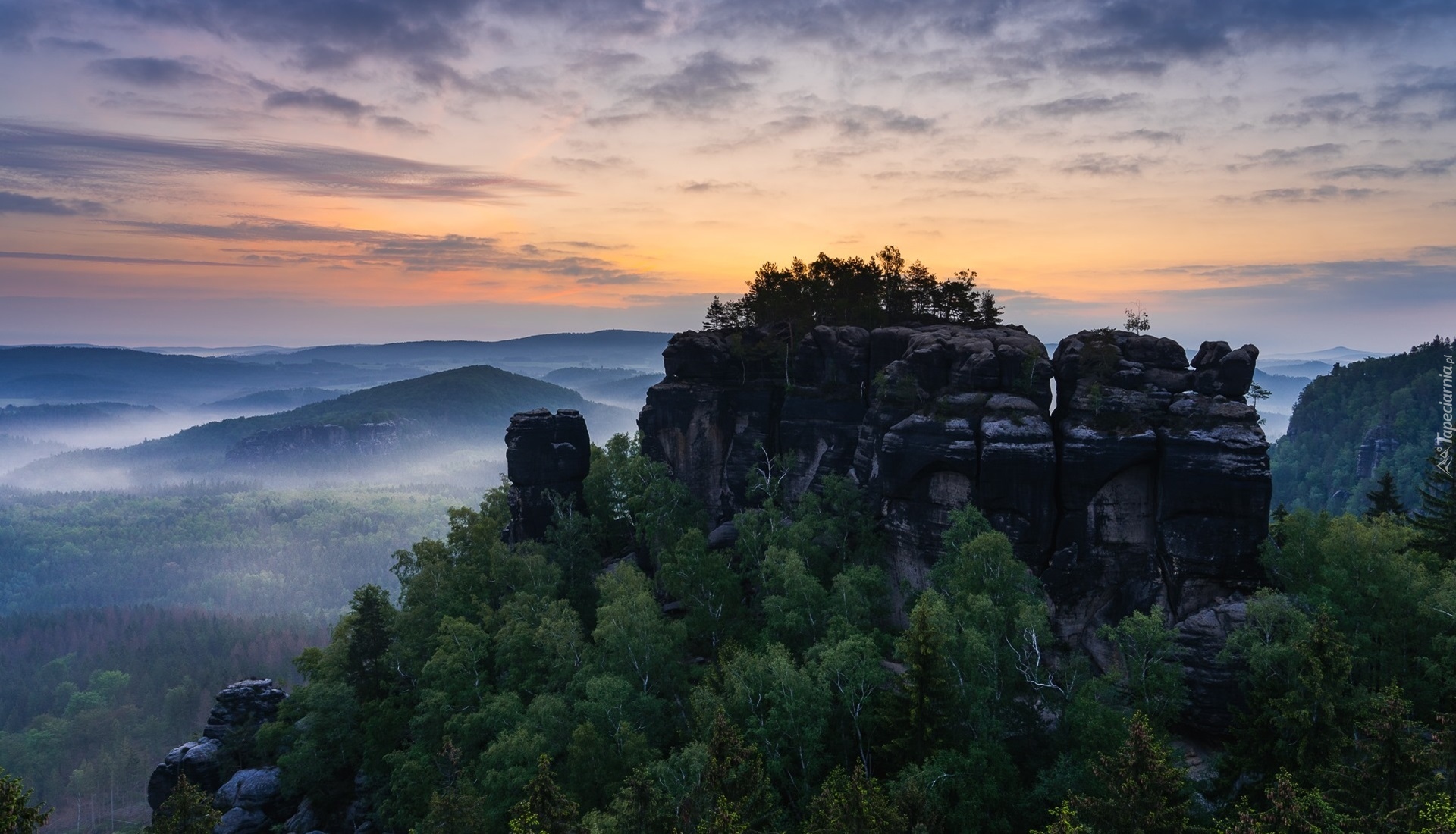 Drzewa, Lasy, Mgła, Wschód słońca, Skały