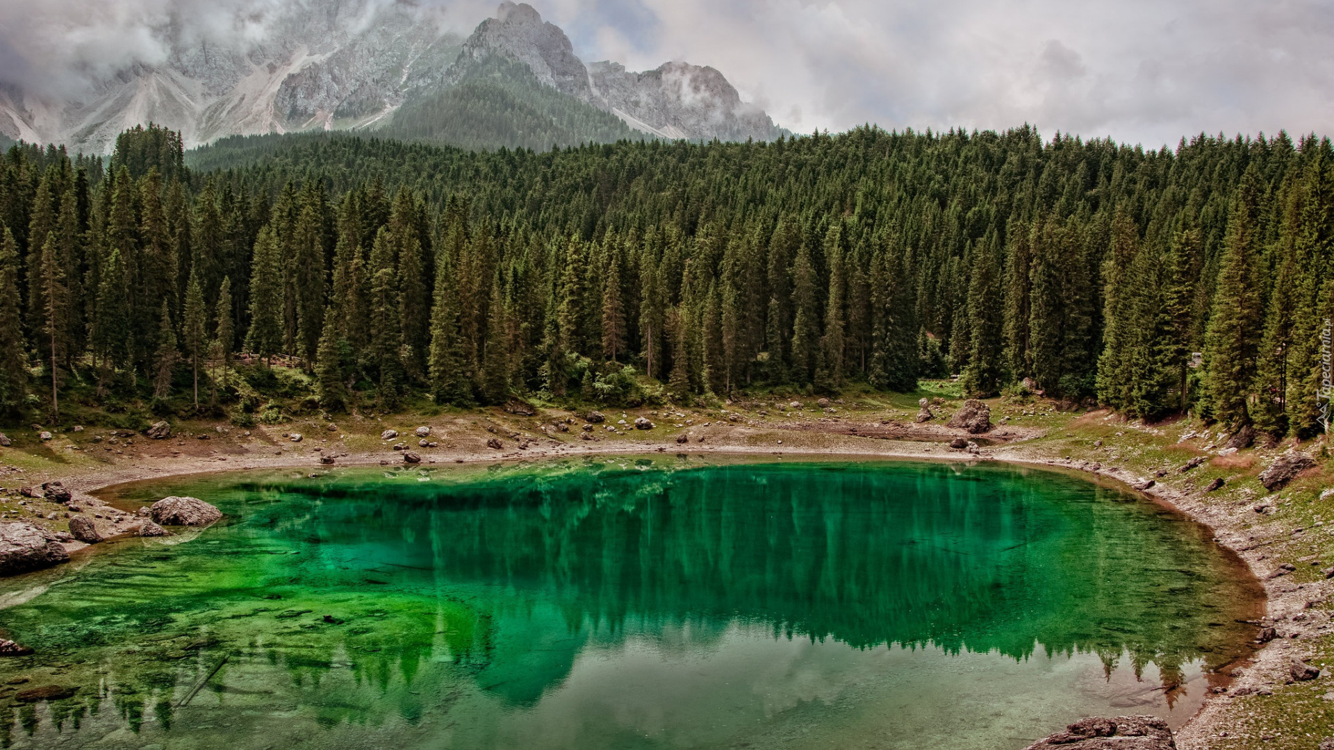 Las, Drzewa, Góry, Dolomity, Góra Latemar, Jezioro Karersee, Welschnofen, Prowincja Bolzano, Włochy