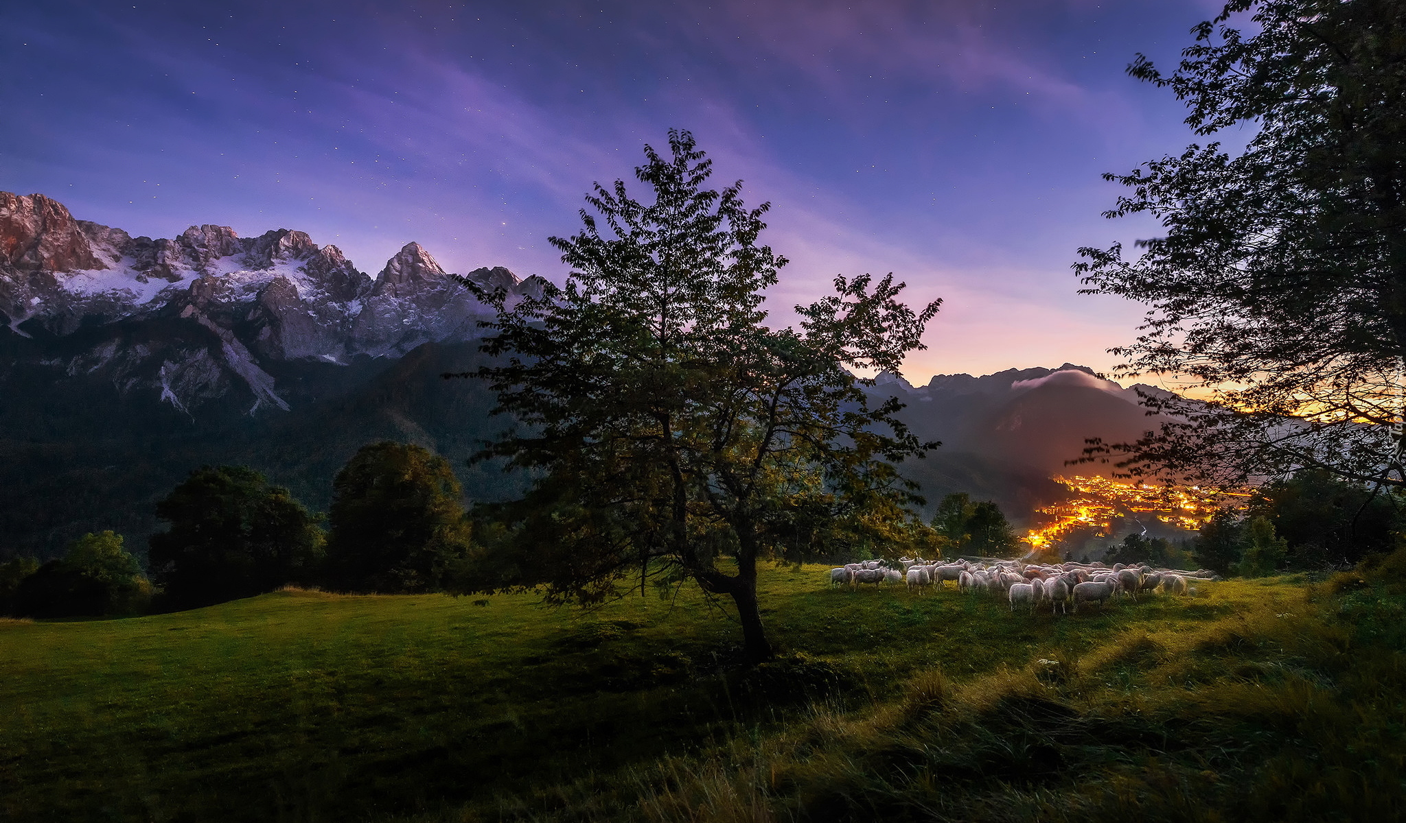 Góry, Alpy Julijskie, Noc, Oświetlone, Miasteczko, Kranjska Gora, Drzewo, Łąka, Owce, Słowenia