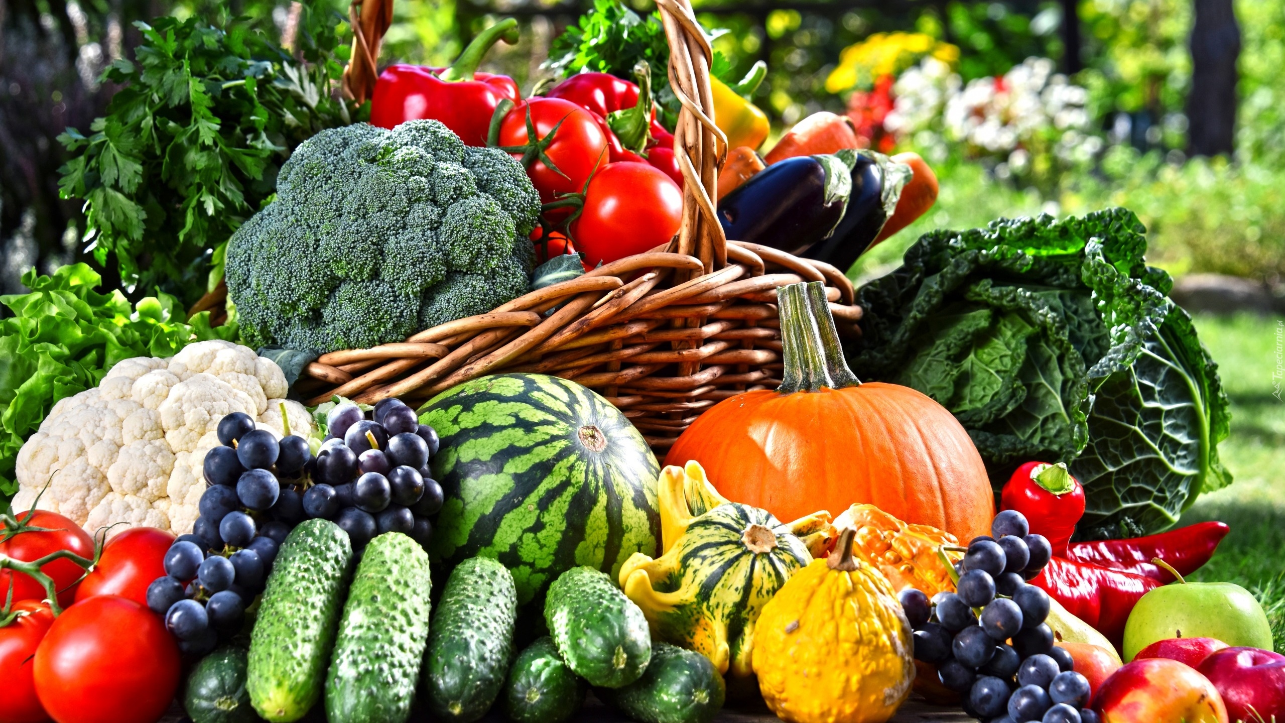 Warzywa, Owoce, Ogórki, Dynia, Pomidory, Brokuł, Kalafior, Winogrono, Kosz
