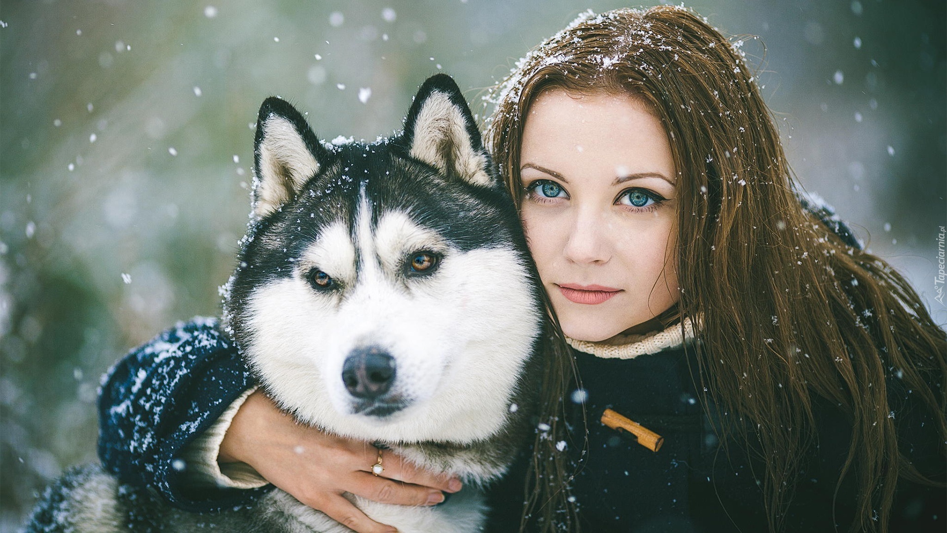 Kobieta, Alaskan Malamute, Śnieg