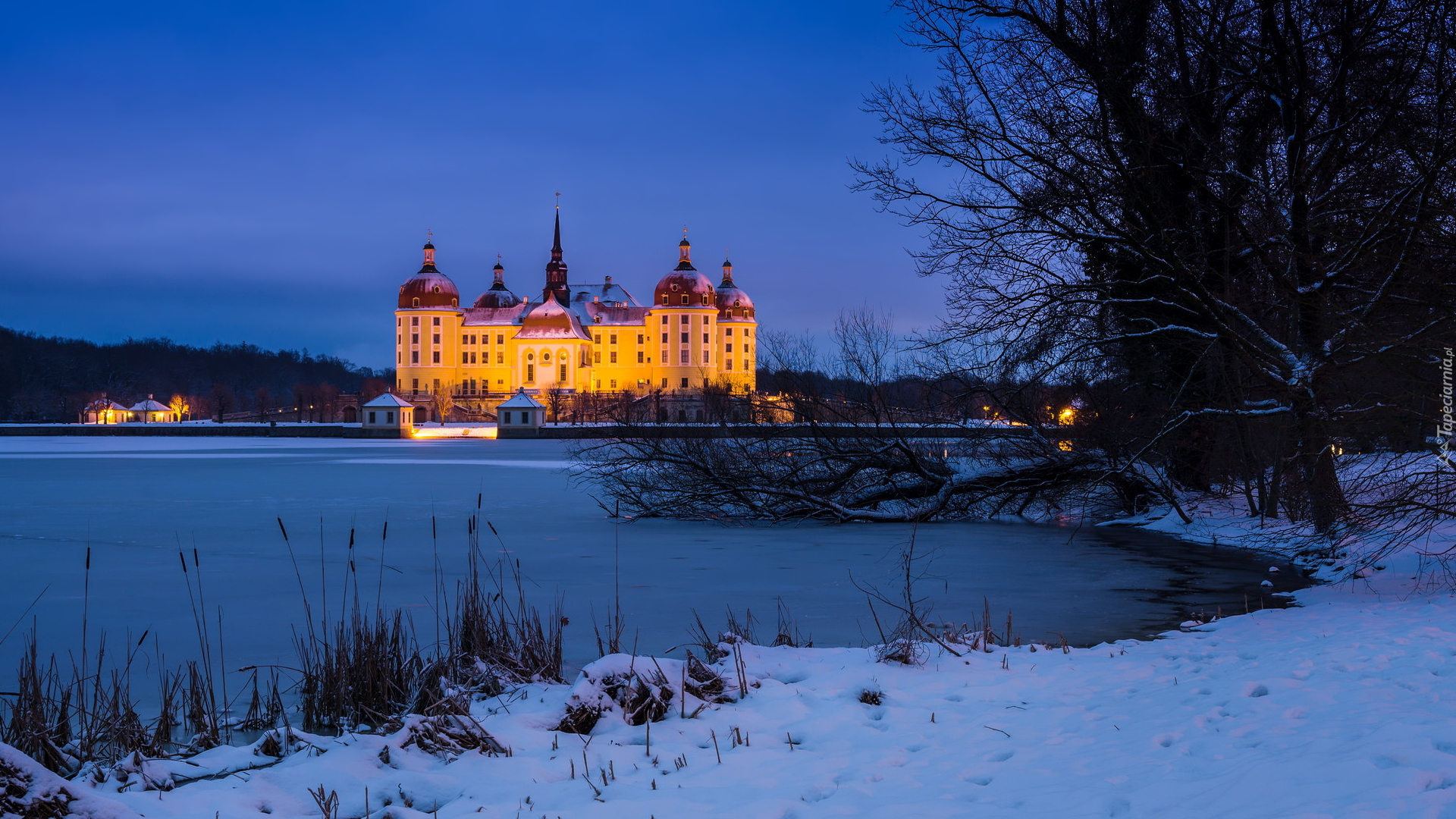 Niemcy, Saksonia, Pałac Moritzburg, Jezioro Waldesee, Zima