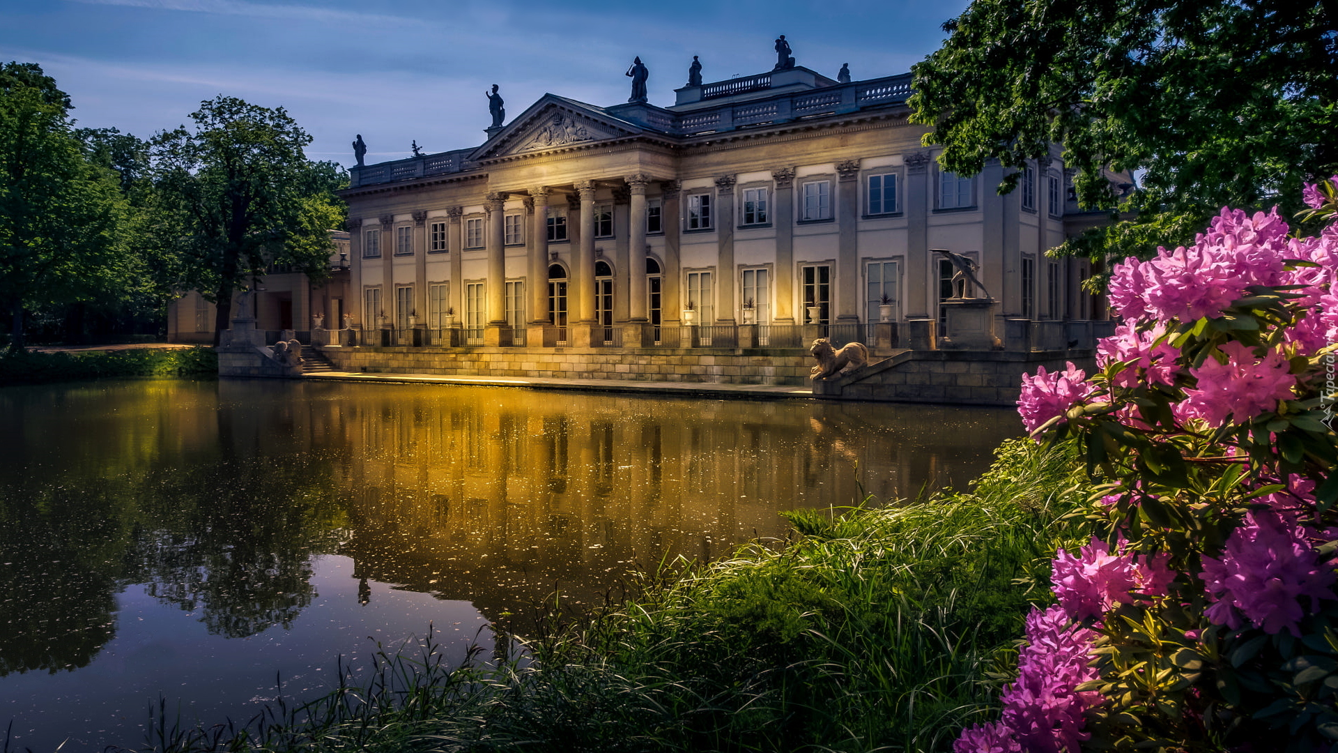 Pałac Na Wyspie, Staw, Różanecznik, Łazienki Królewskie, Warszawa, Polska