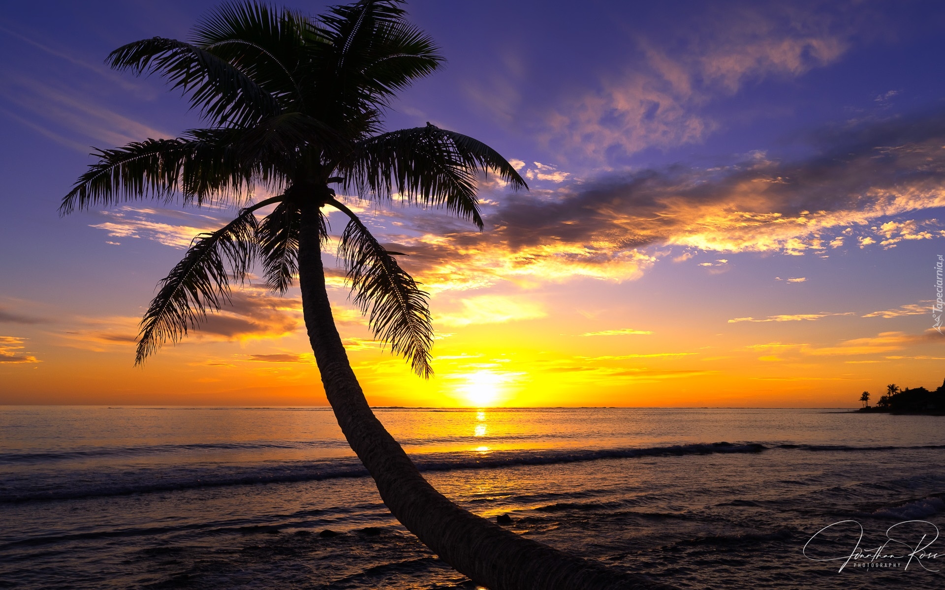 Stany Zjednoczone, Hawaje, Wyspa Oahu, Morze, Palma, Zachód słońca, Chmury