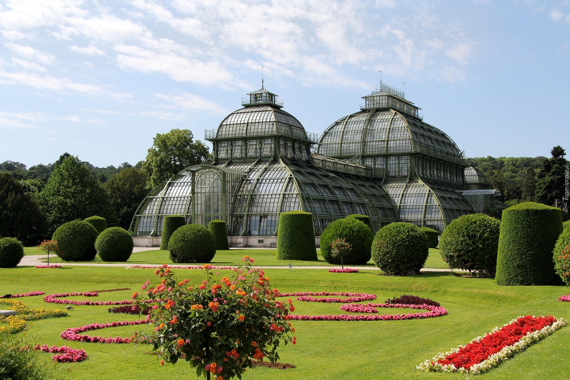 Austria, Wiedeń, Schonbrunn, Palmiarnia, Ogród, Park, Kwiaty