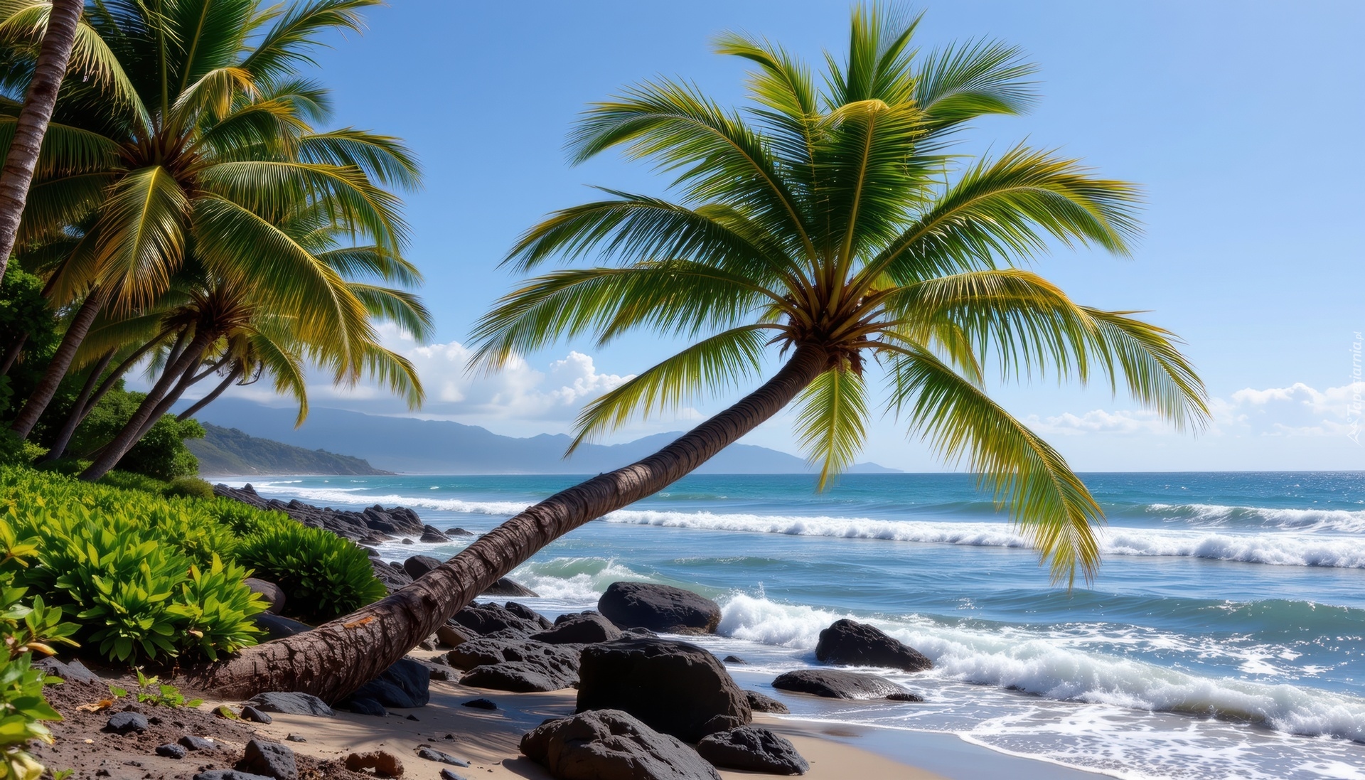 Palmy, Plaża, Kamienie, Morze, Grafika AI