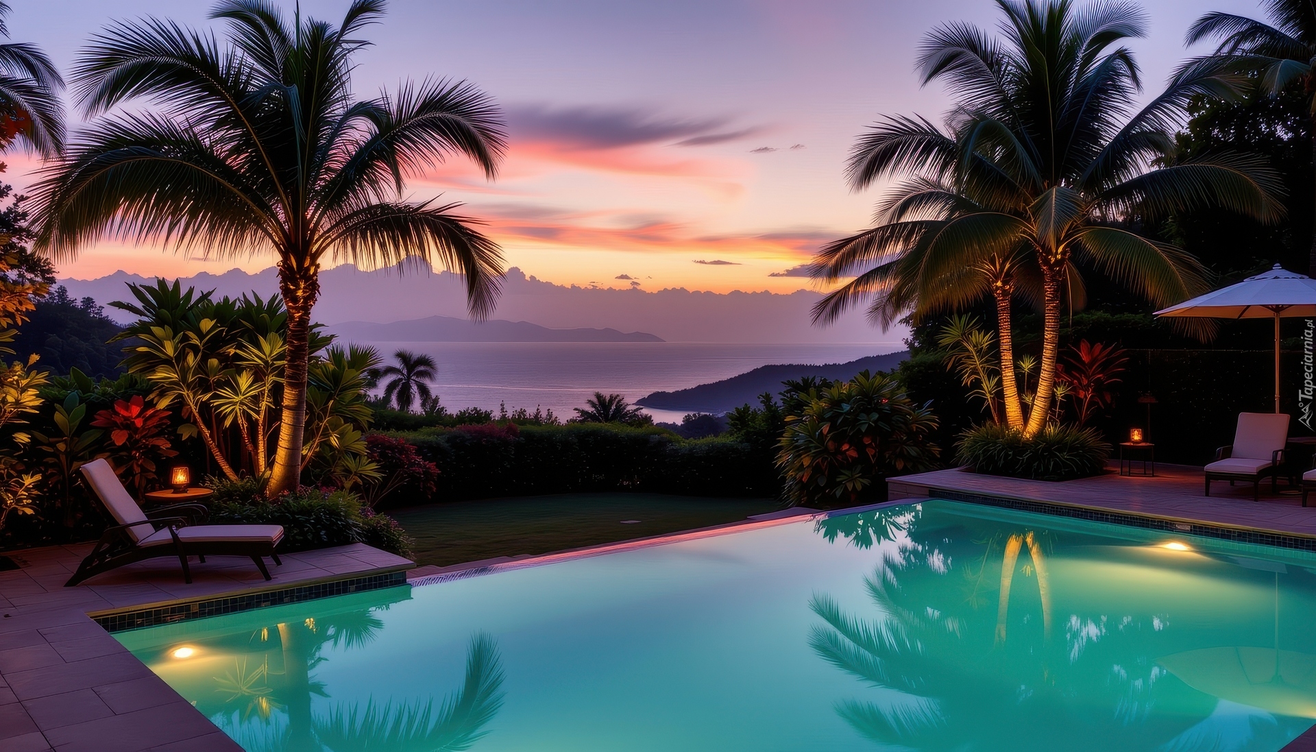 Basen, Palmy, Leżaki, Zmierzch