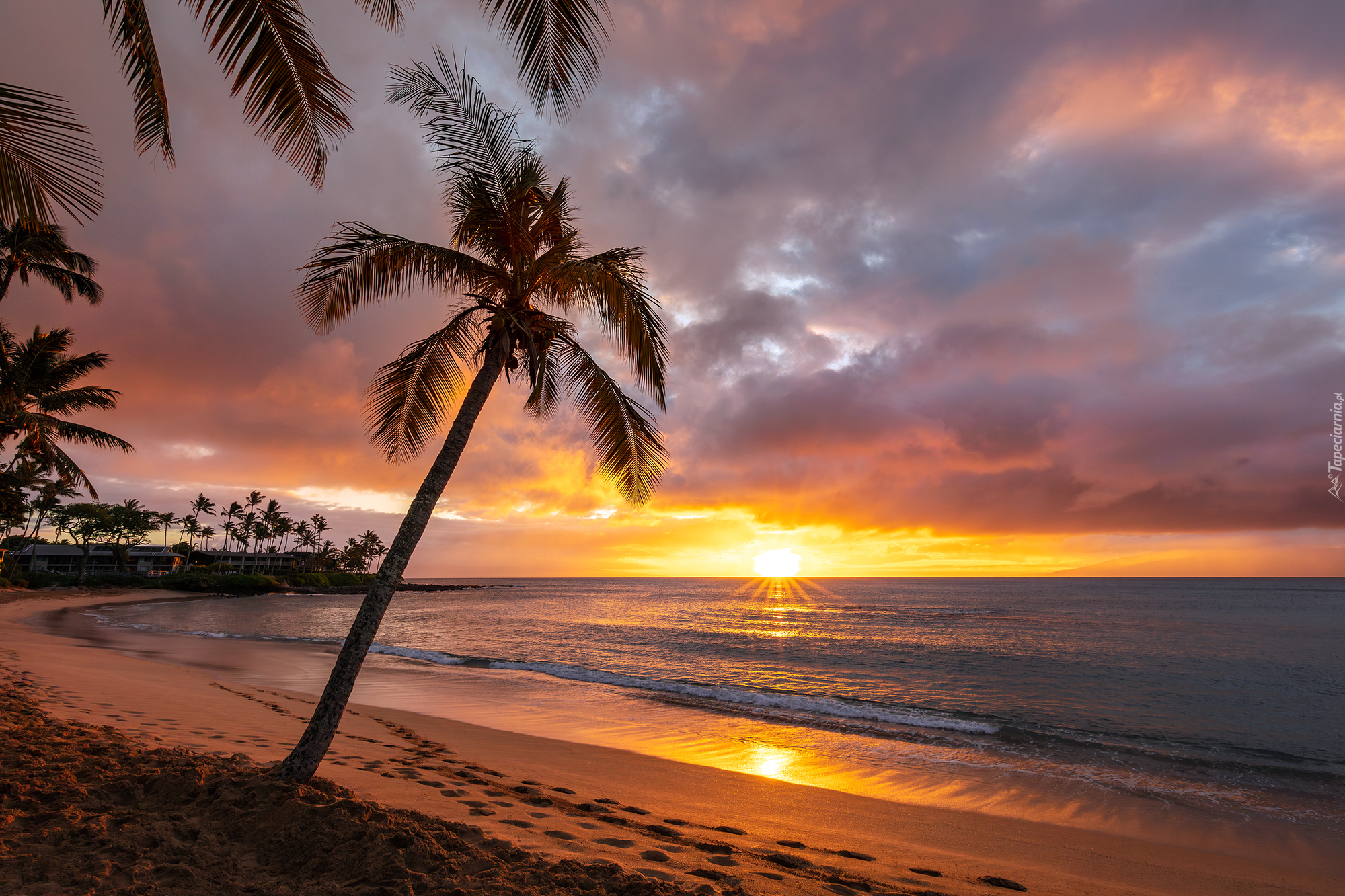 Zachód słońca, Chmury, Morze, Plaża, Napili Beach, Palmy, Wyspa, Maui, Hawaje