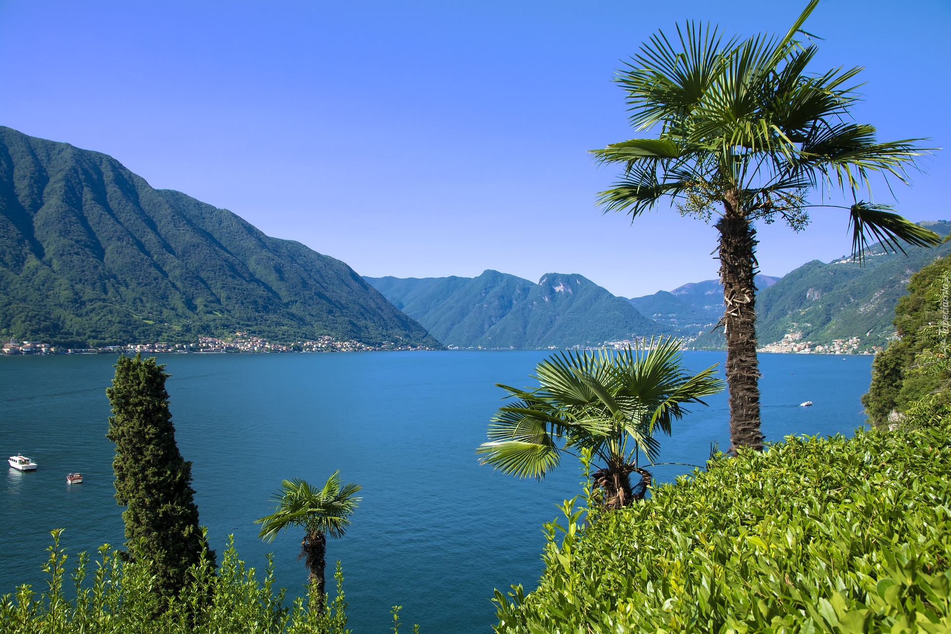 Włochy, Lombardia, Jezioro, Como Lake, Palmy, Góry, Alpy