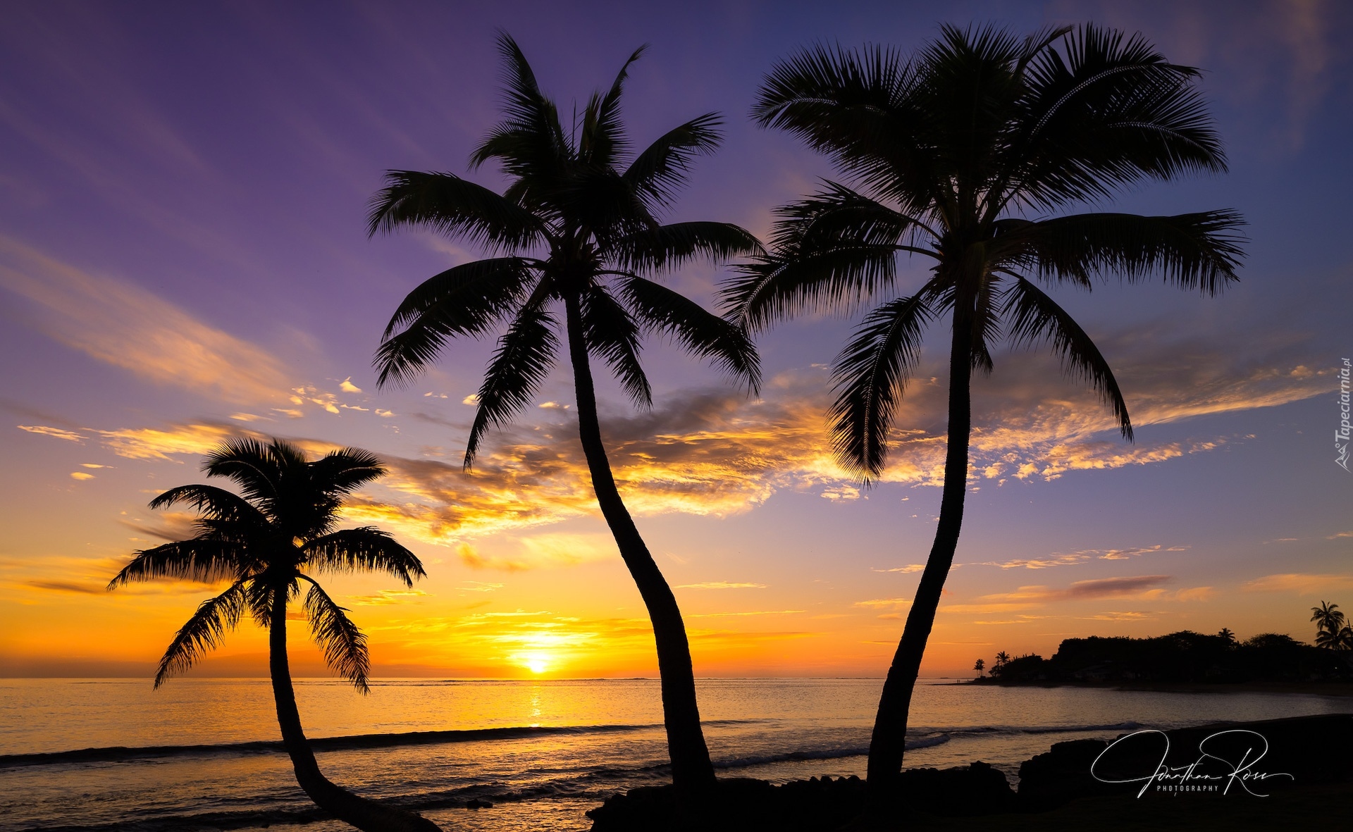 Stany Zjednoczone, Hawaje, Wyspa Oahu, Morze, Palmy, Zachód słońca