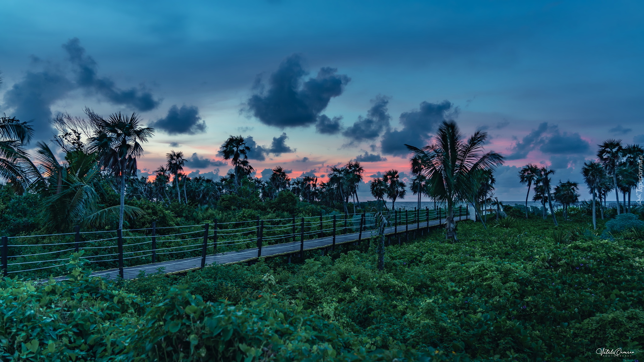 Zachód słońca, Chmury, Pomost, Palmy, Wyspa Cayo Coco, Kuba