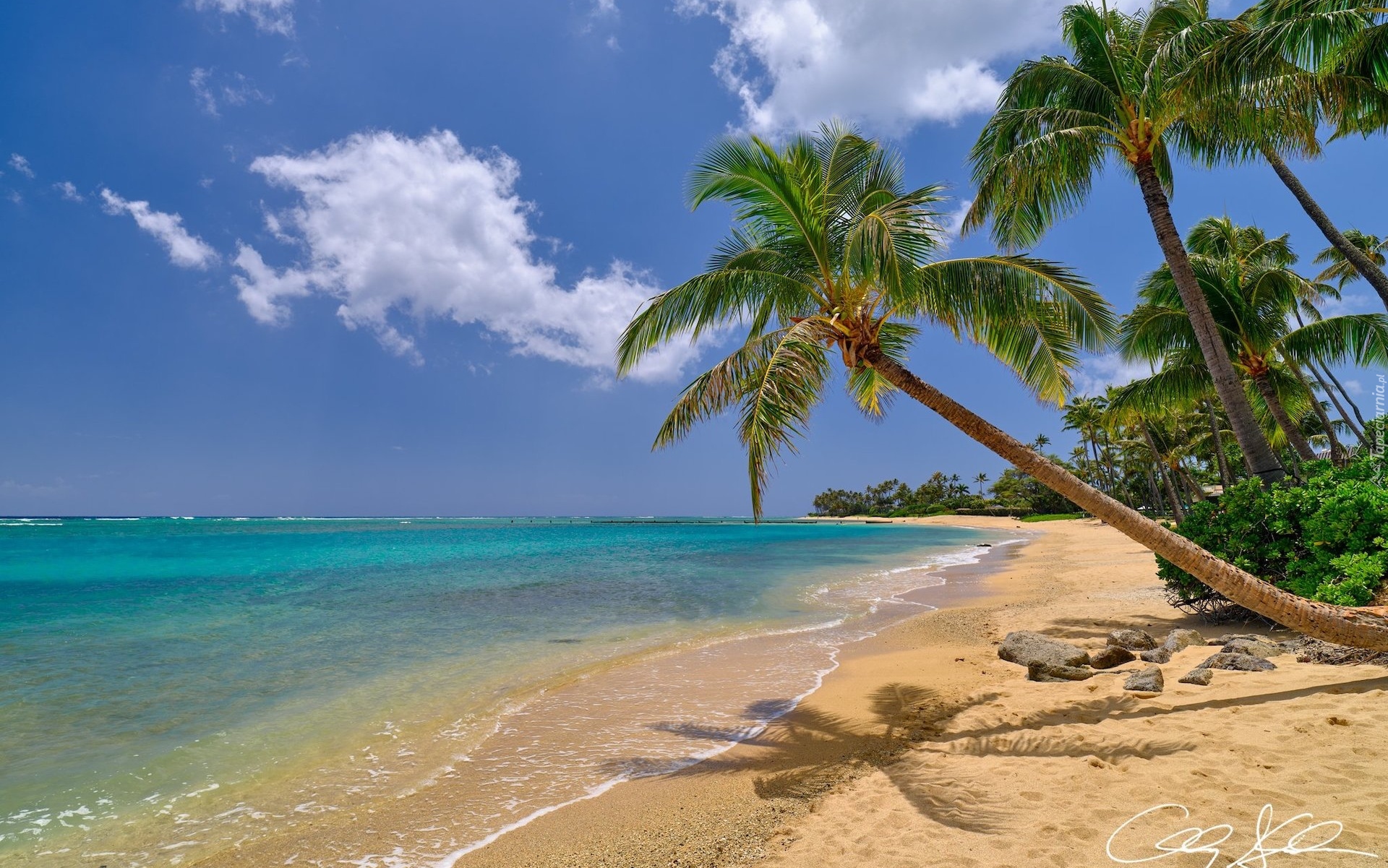 Stany Zjednoczone, Hawaje, Wyspa Oahu, Morze, Plaża, Palmy