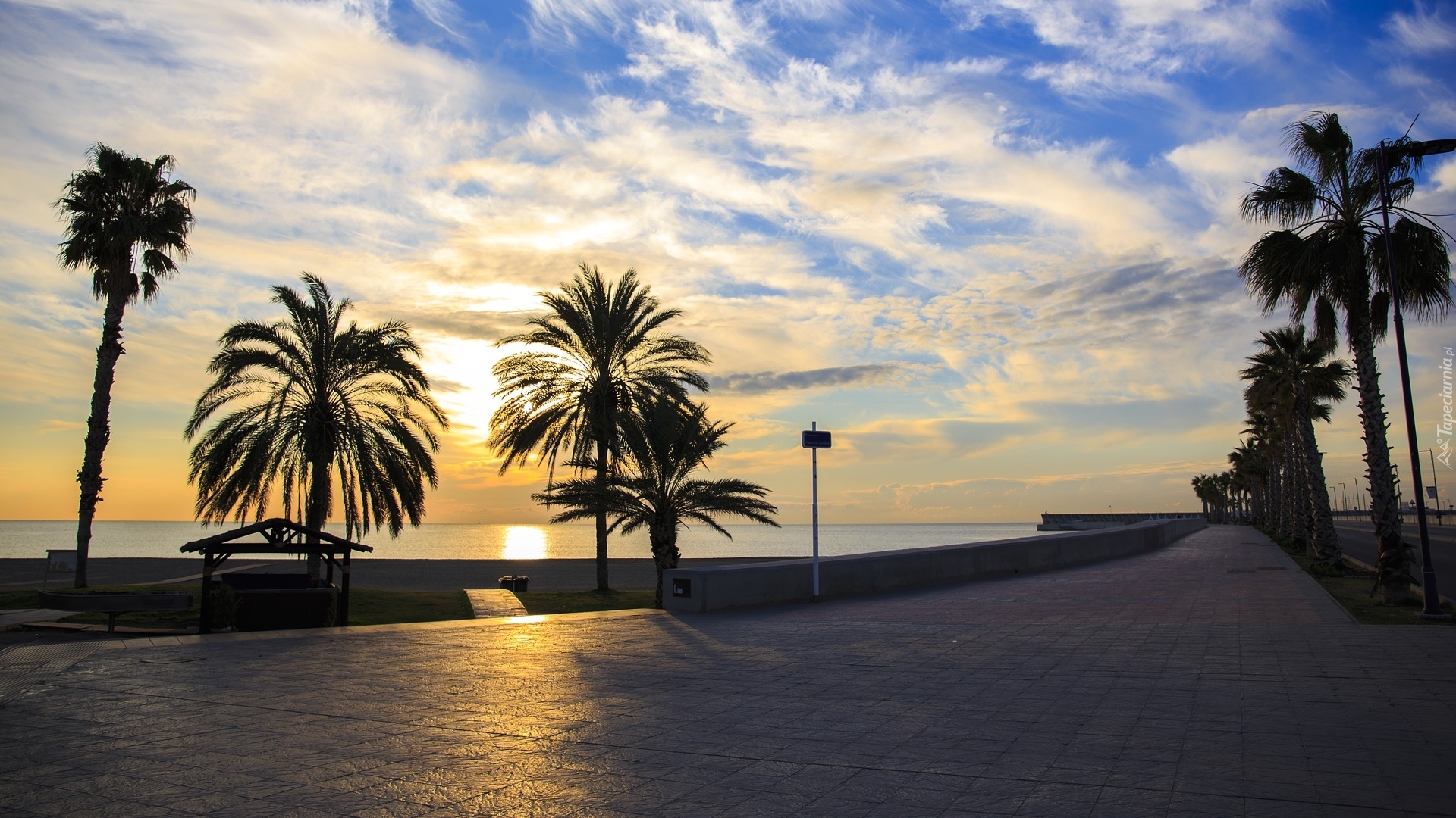 Palmy, Promenada, Wschód słońca, Morze Śródziemne, Malaga, Hiszpania