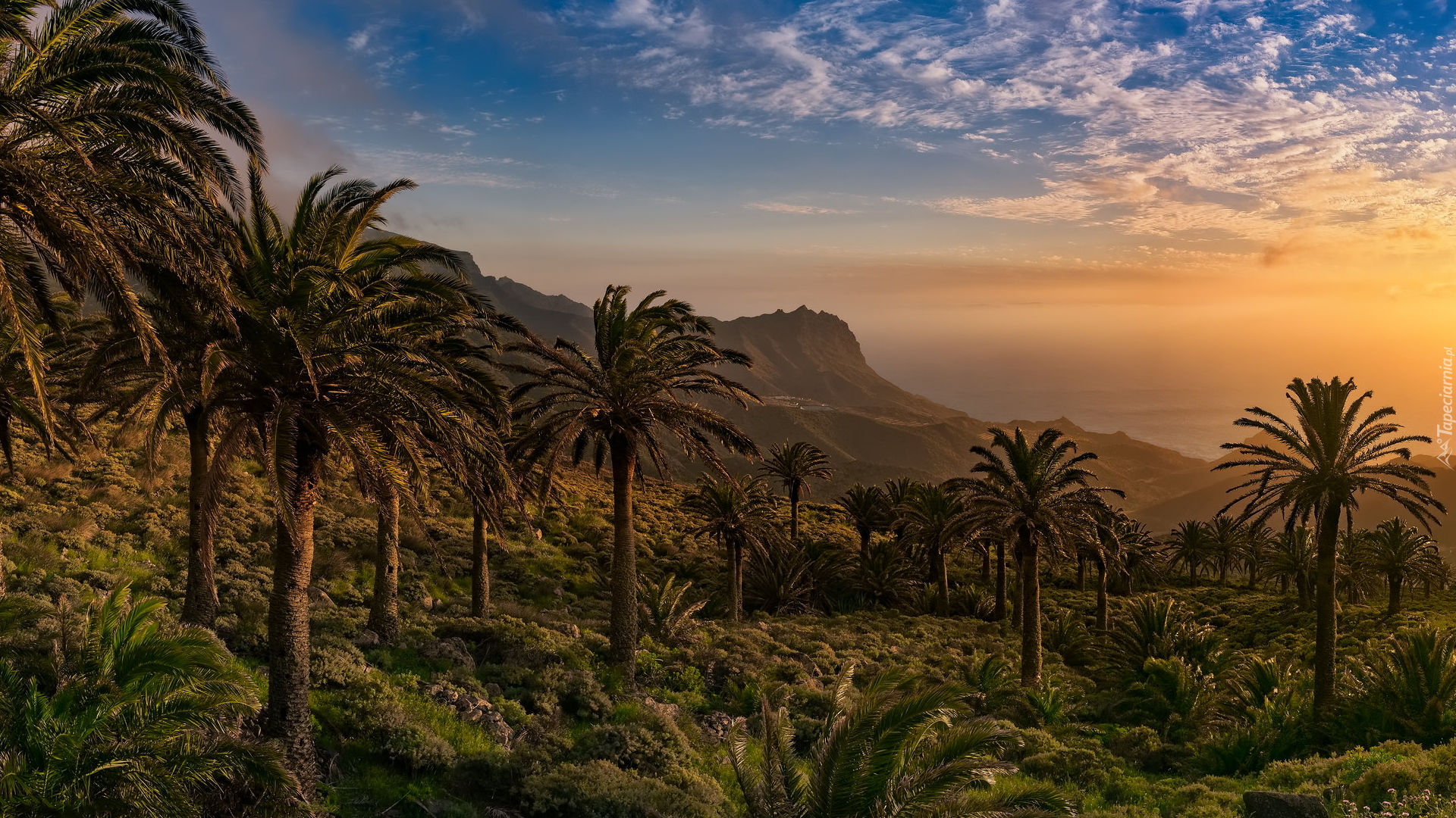 Góry, Drzewa, Palmy, Zachód słońca, Tazo, Gomera, Wyspy Kanaryjskie, Hiszpania