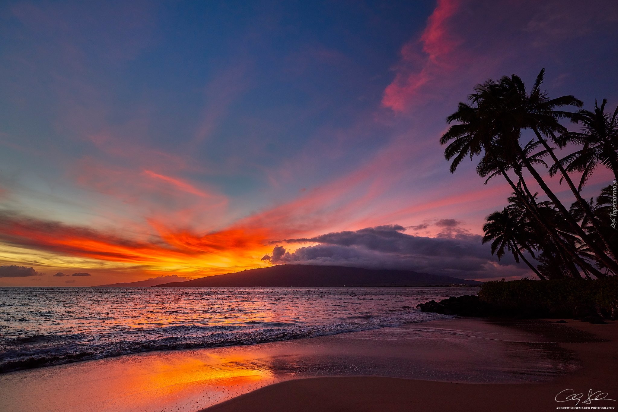 Hawaje, Zachód słońca, Morze, Palmy