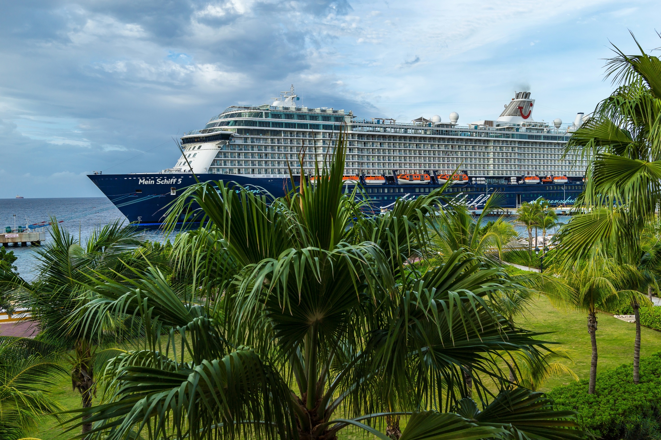 Statek wycieczkowy Mein Schiff 5, Palmy