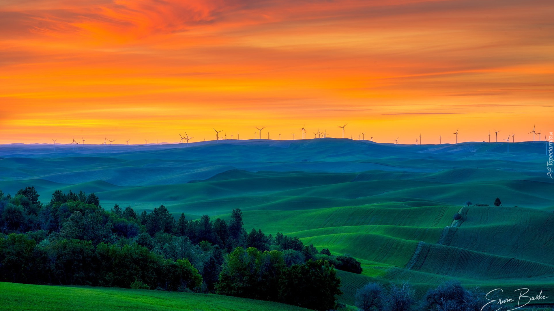 Wzgórza, Wiatraki, Drzewa, Łąki, Pola, Zachód słońca, Region Palouse, Stan Waszyngton, Stany Zjednoczone