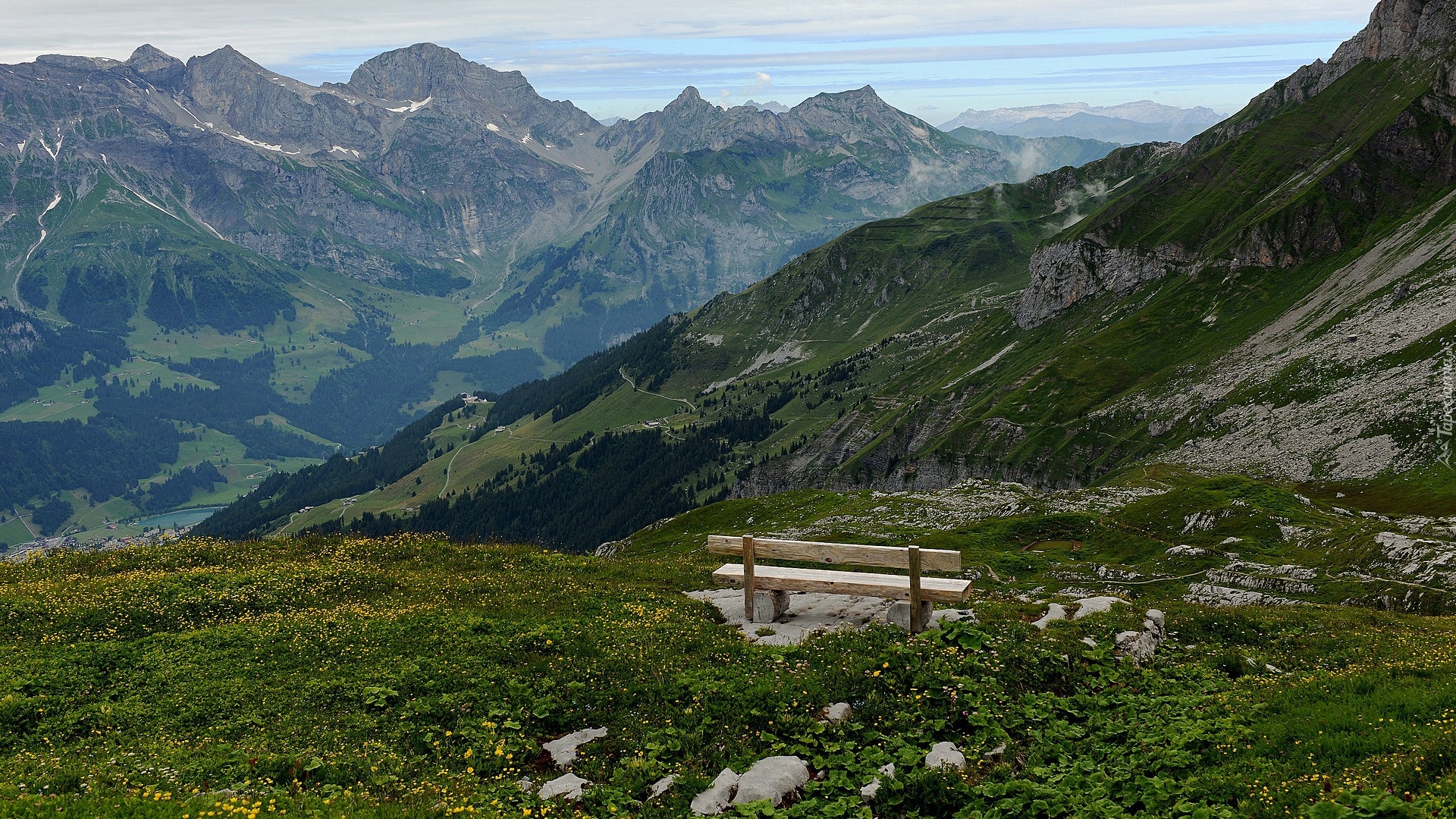 Góry, Alpy, Łąka, Żółte, Kwiaty, Ławka, Engelberg, Szwajcaria