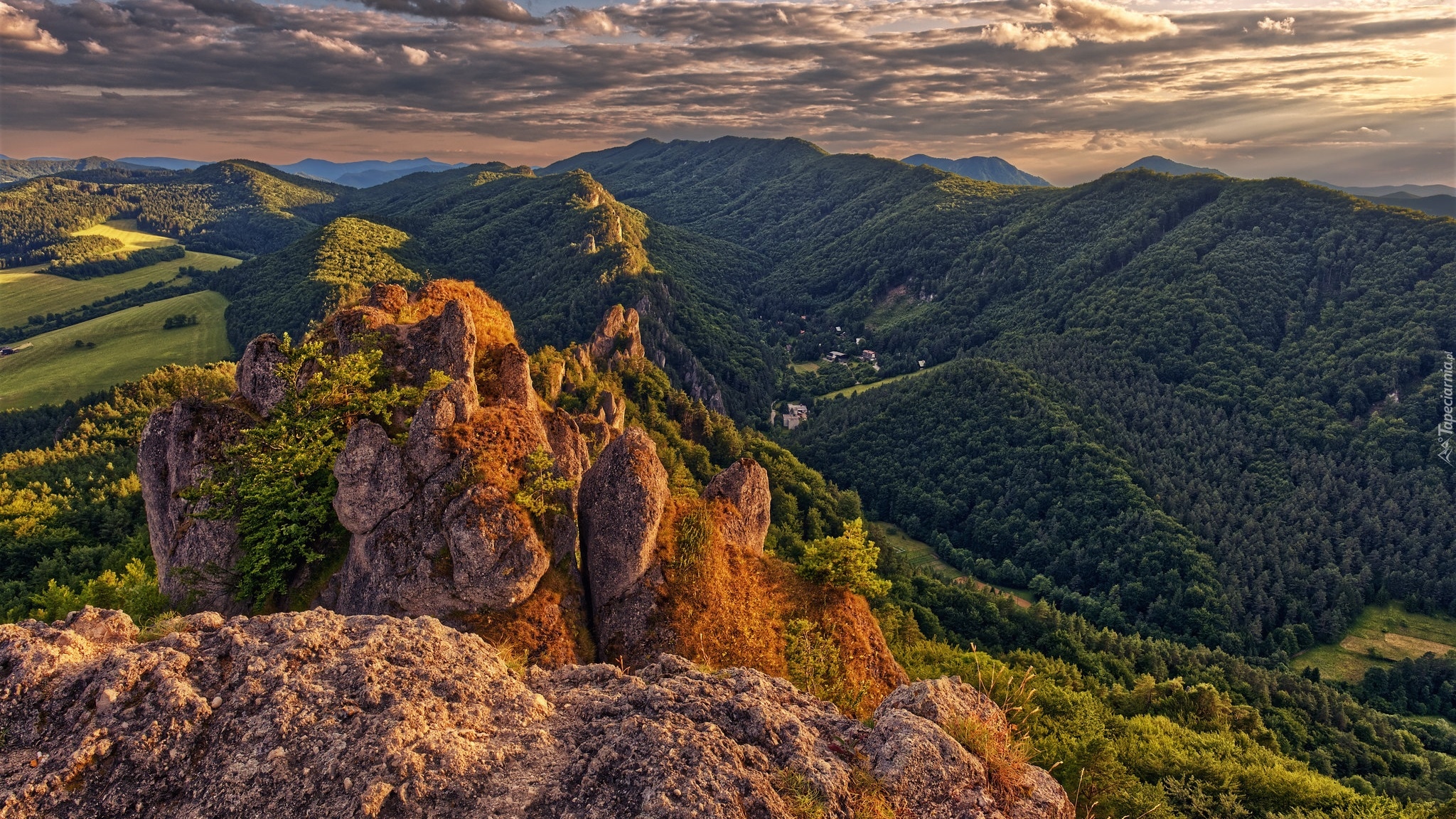 Góry Strażowskie, Karpaty Zachodnie, Skały, Drzewa, Słowacja