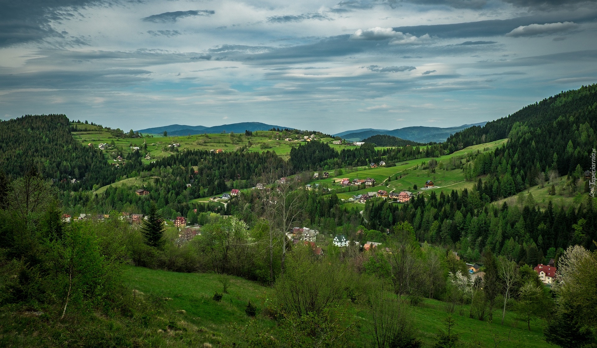 Góry Gorce, Beskidy, Domy, Wzgórza, Drzewa, Polska