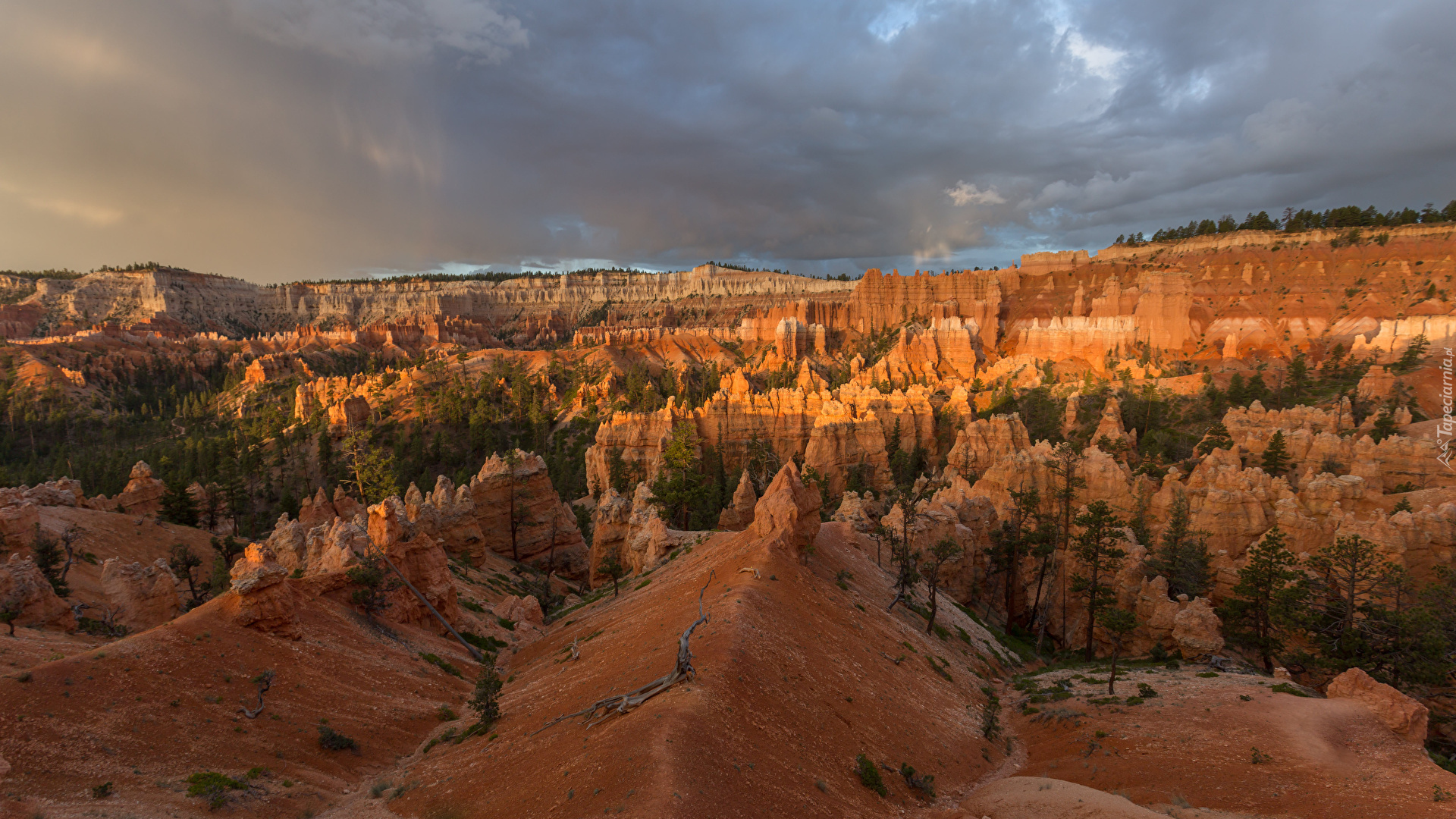 Stany Zjednoczone, Utah, Park Narodowy Bryce Canyon, Skały