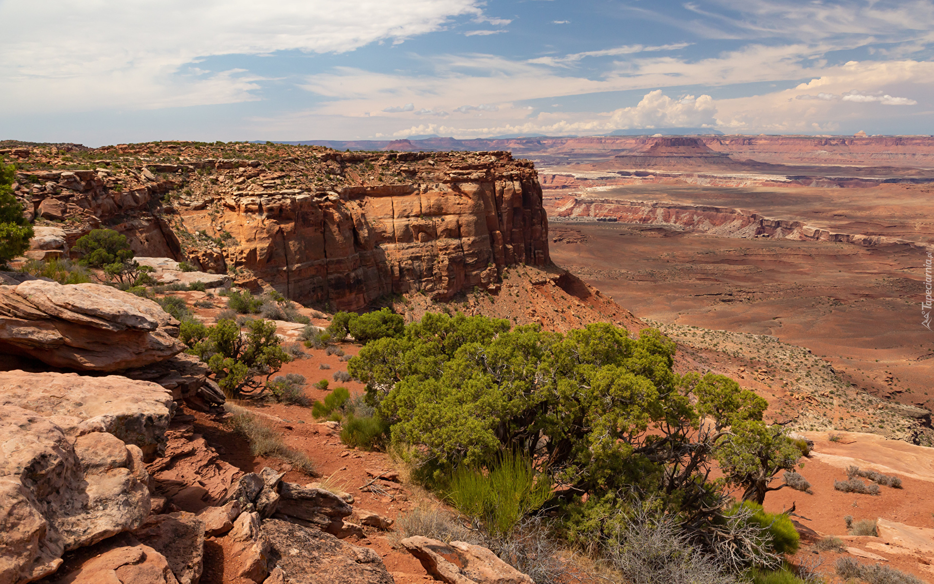 Kanion, Park Narodowy Canyonlands, Skały, Drzewa, Rośliny, Stan Utah, Stany Zjednoczone