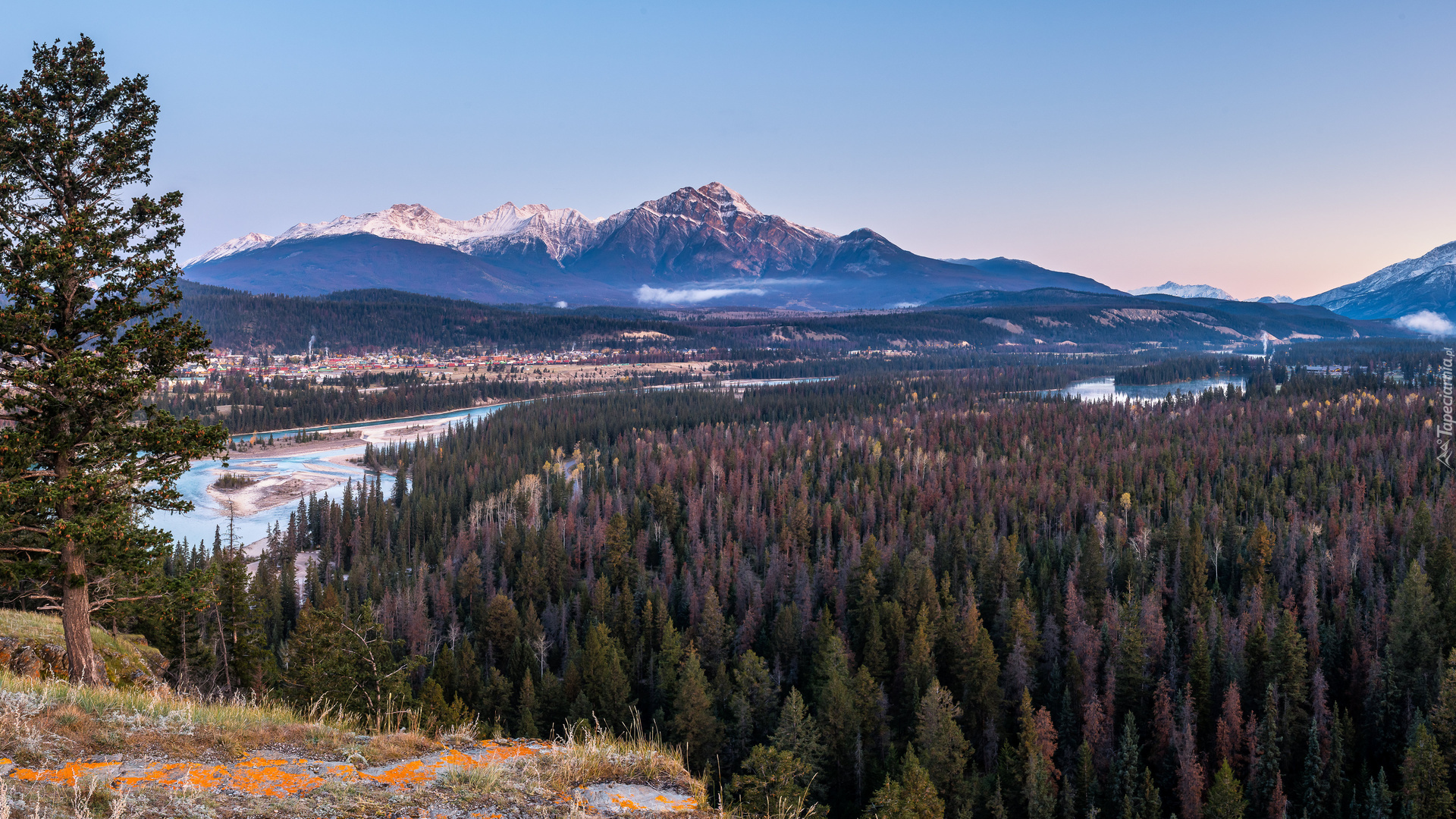 Góry Skaliste, Drzewa, Rzeka, Park Narodowy Jasper, Domy, Alberta, Kanada